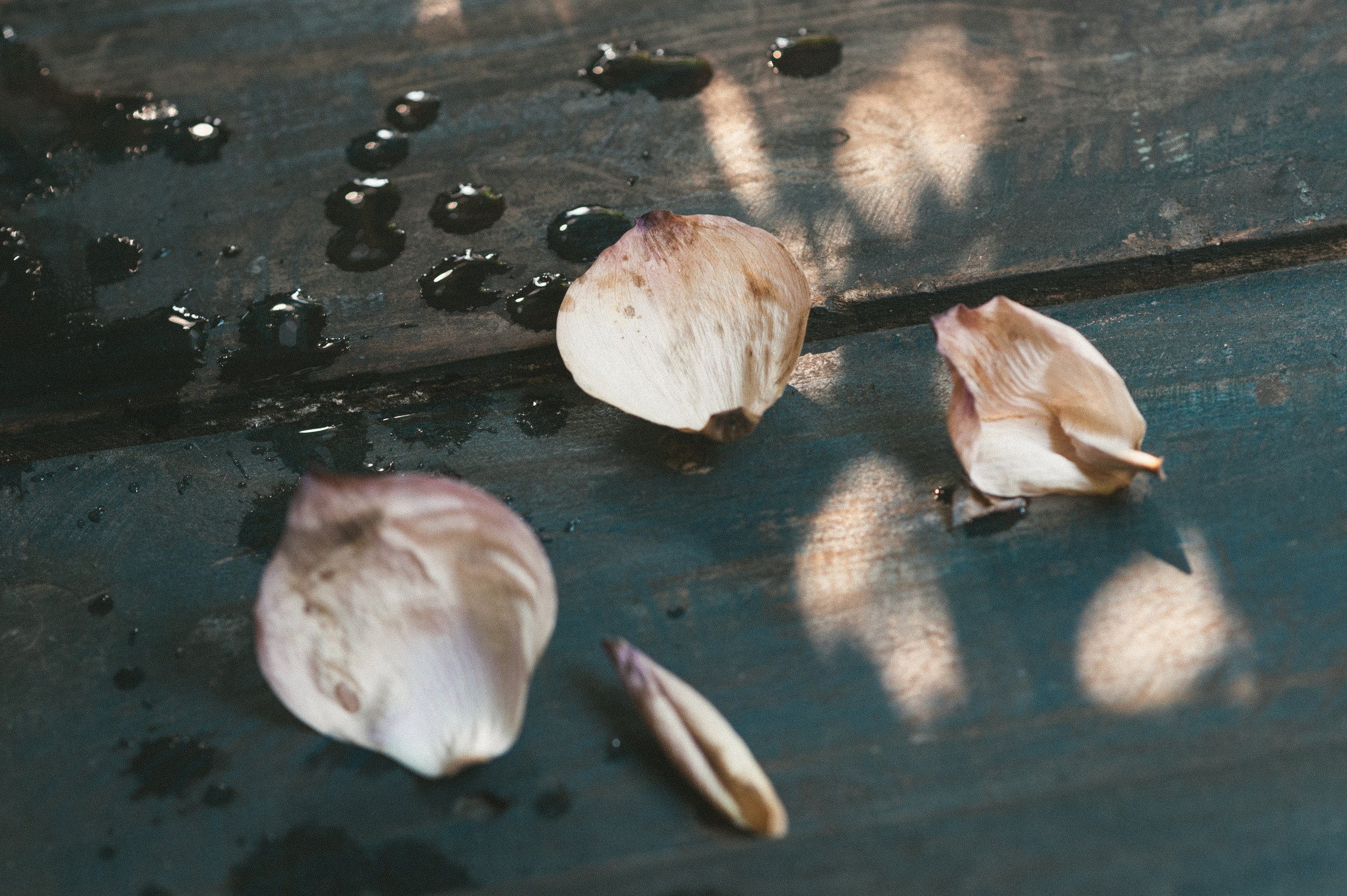 Valya. Film Photographer in Da Nang, Vietnam — Tanya Parfenteva