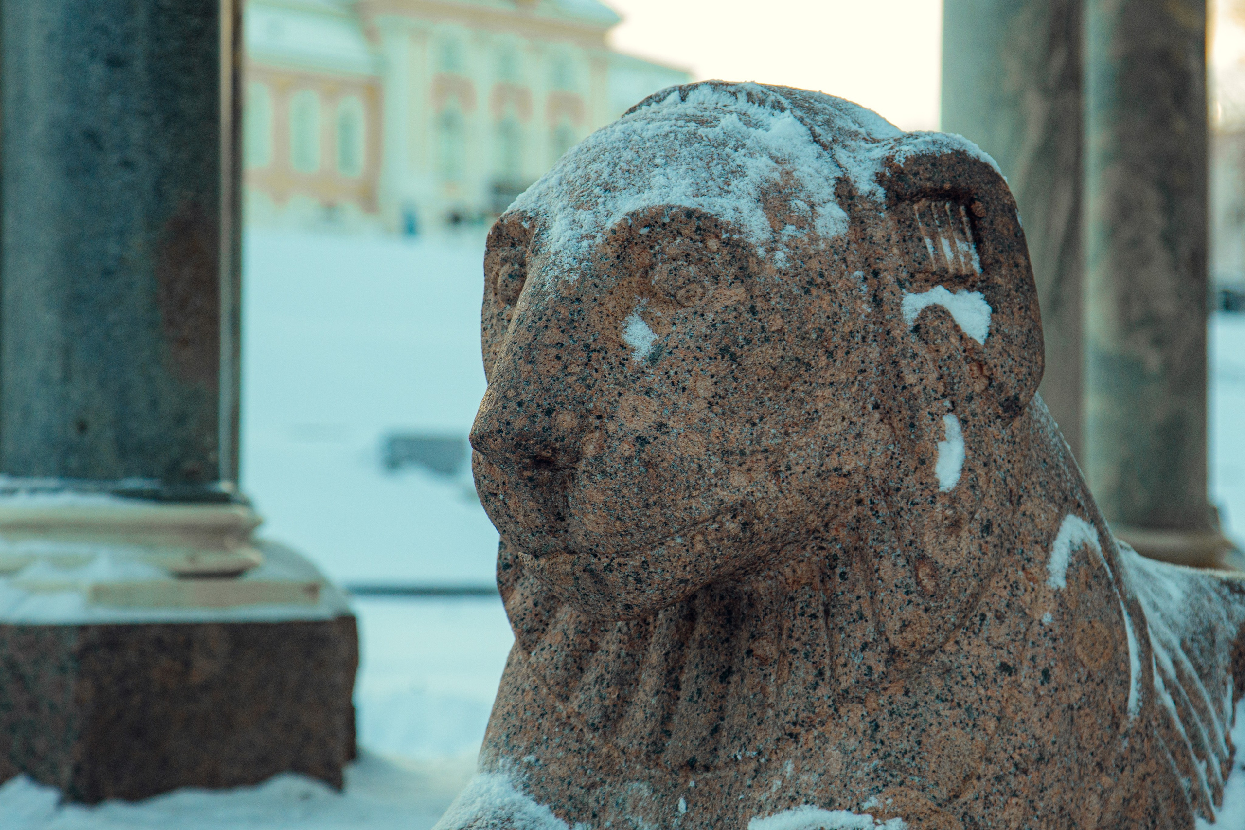 Петергоф нижний парк фото