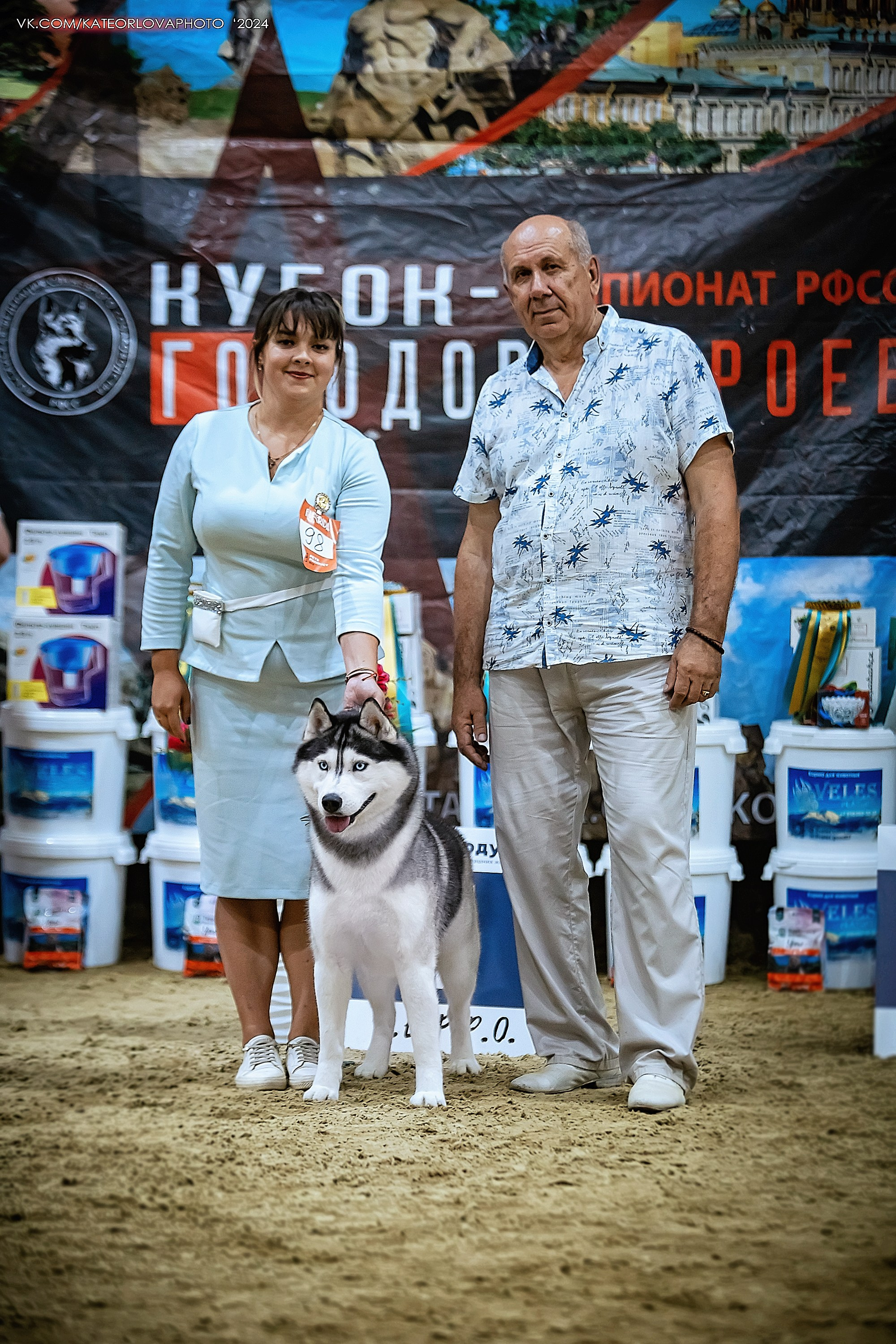 Фотосъемка собак, щенков, на выставках, фотограф анималист Россия воронеж. Питомник собак Акита, Хаски, Корги