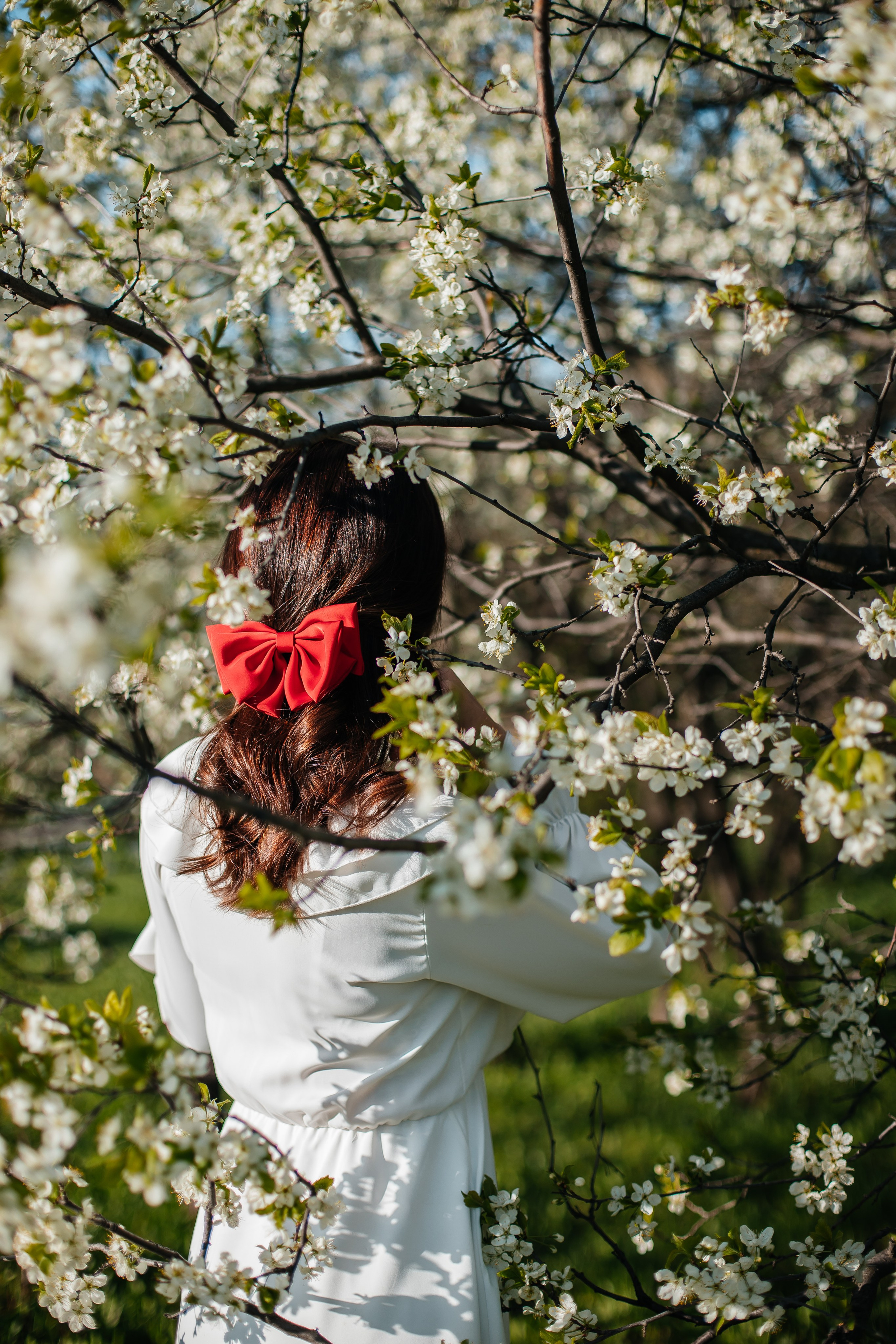 Вишня. Анастасия Давыдова