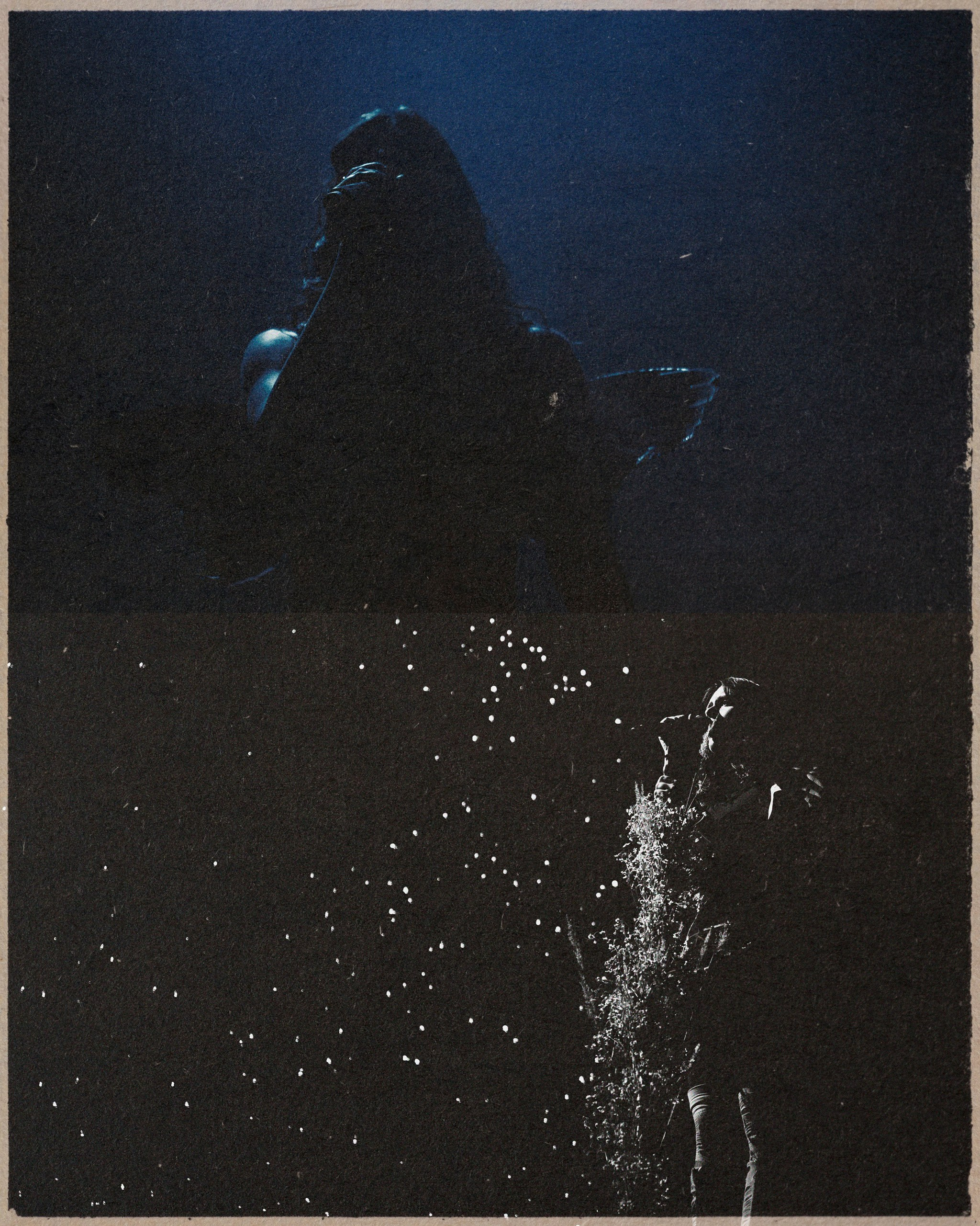 Cream Soda. Фотограф Rockeroleg