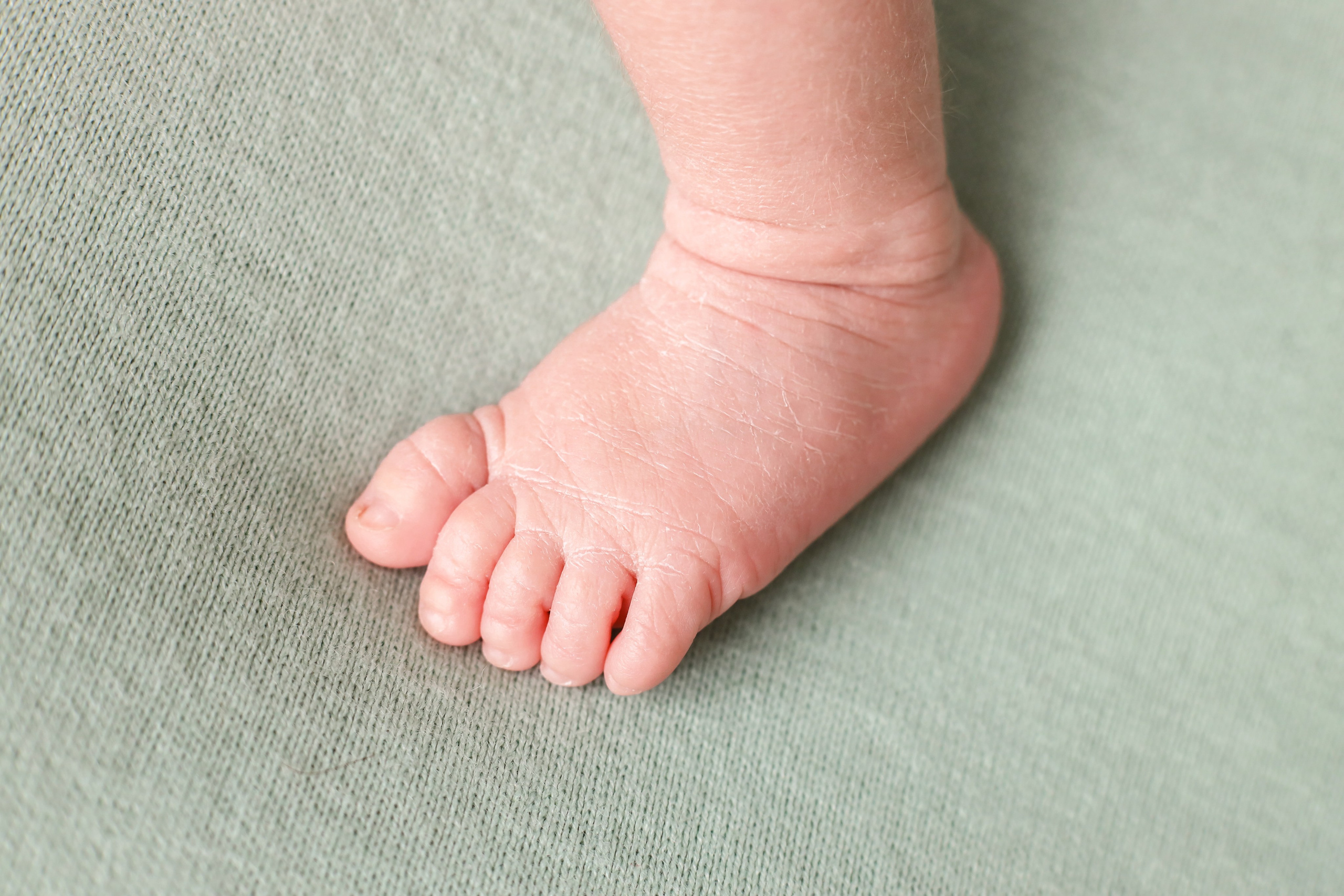 Даниил 17 дней. Семейный фотограф и фотограф новорожденных в Санкт-Петербурге Алина Фе