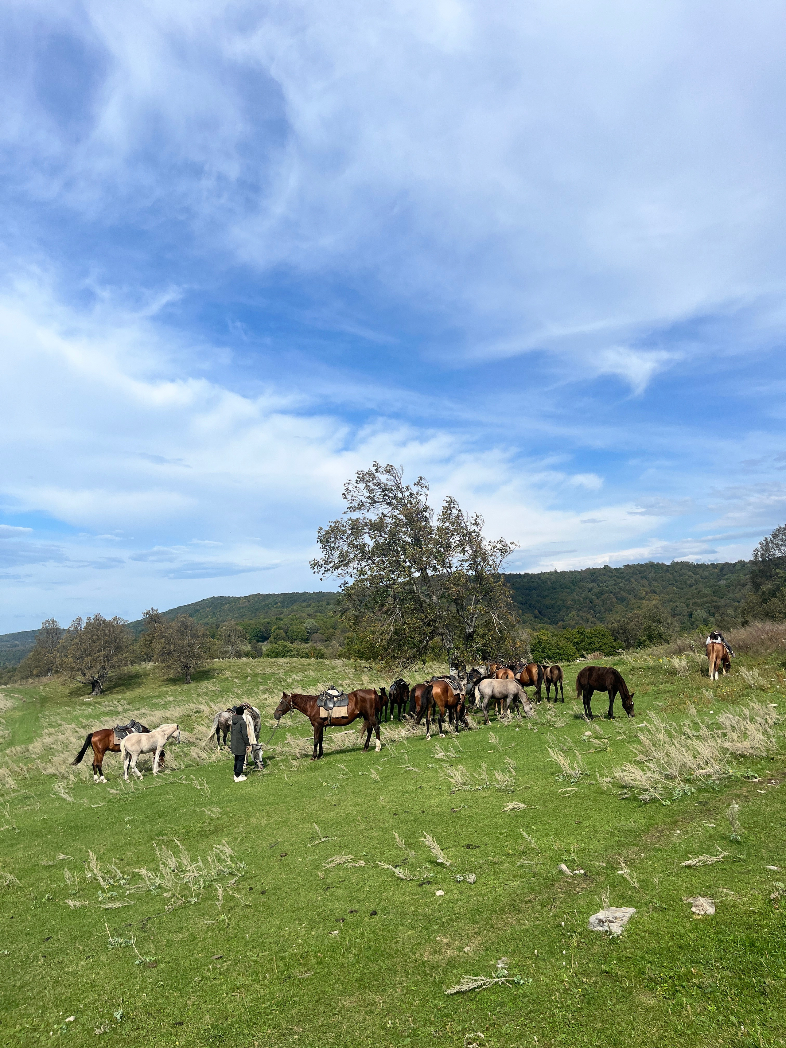 Конный тур к скале Акташ из Уфы — Время приключений