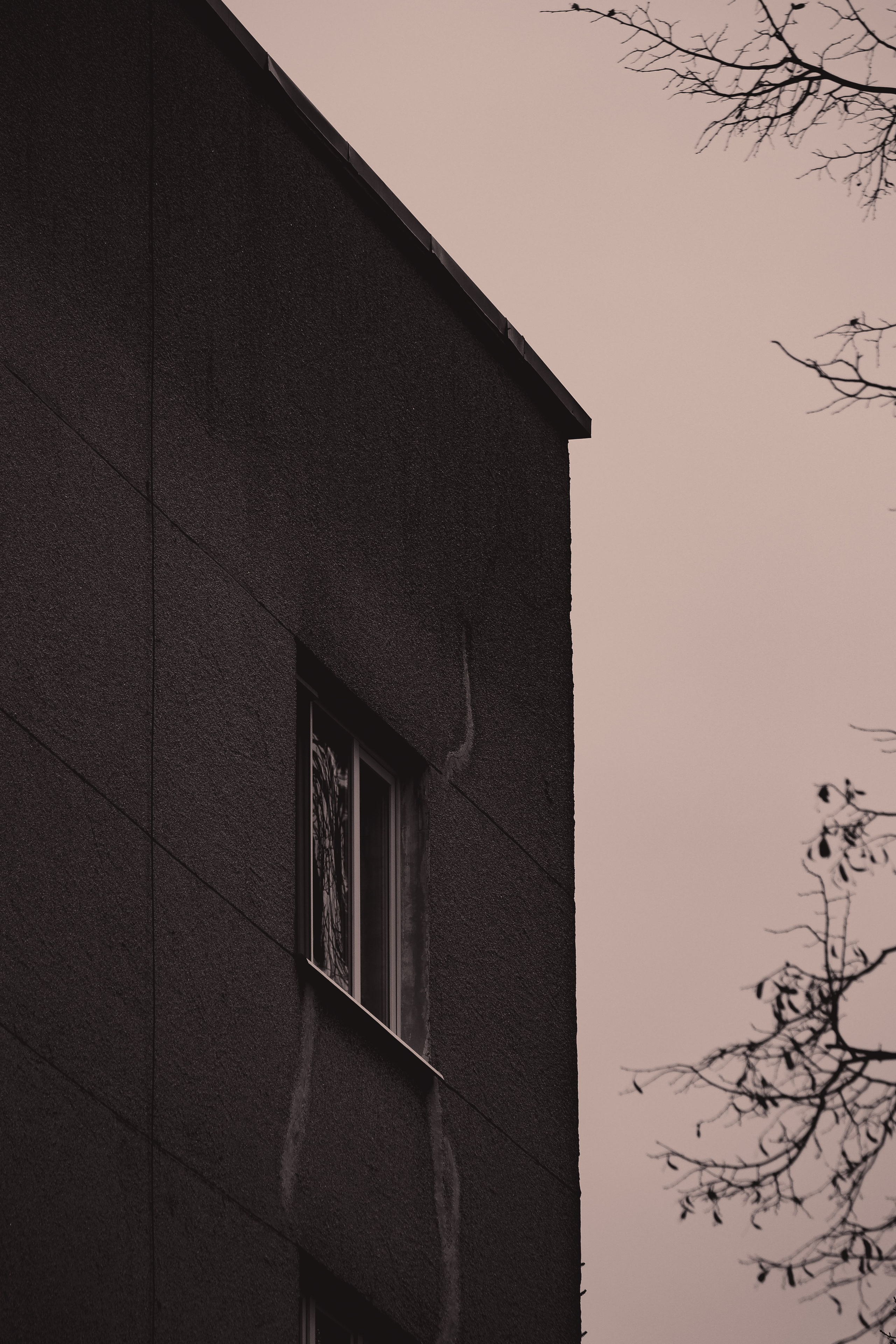 С Е П И Я. — Digital Noise —