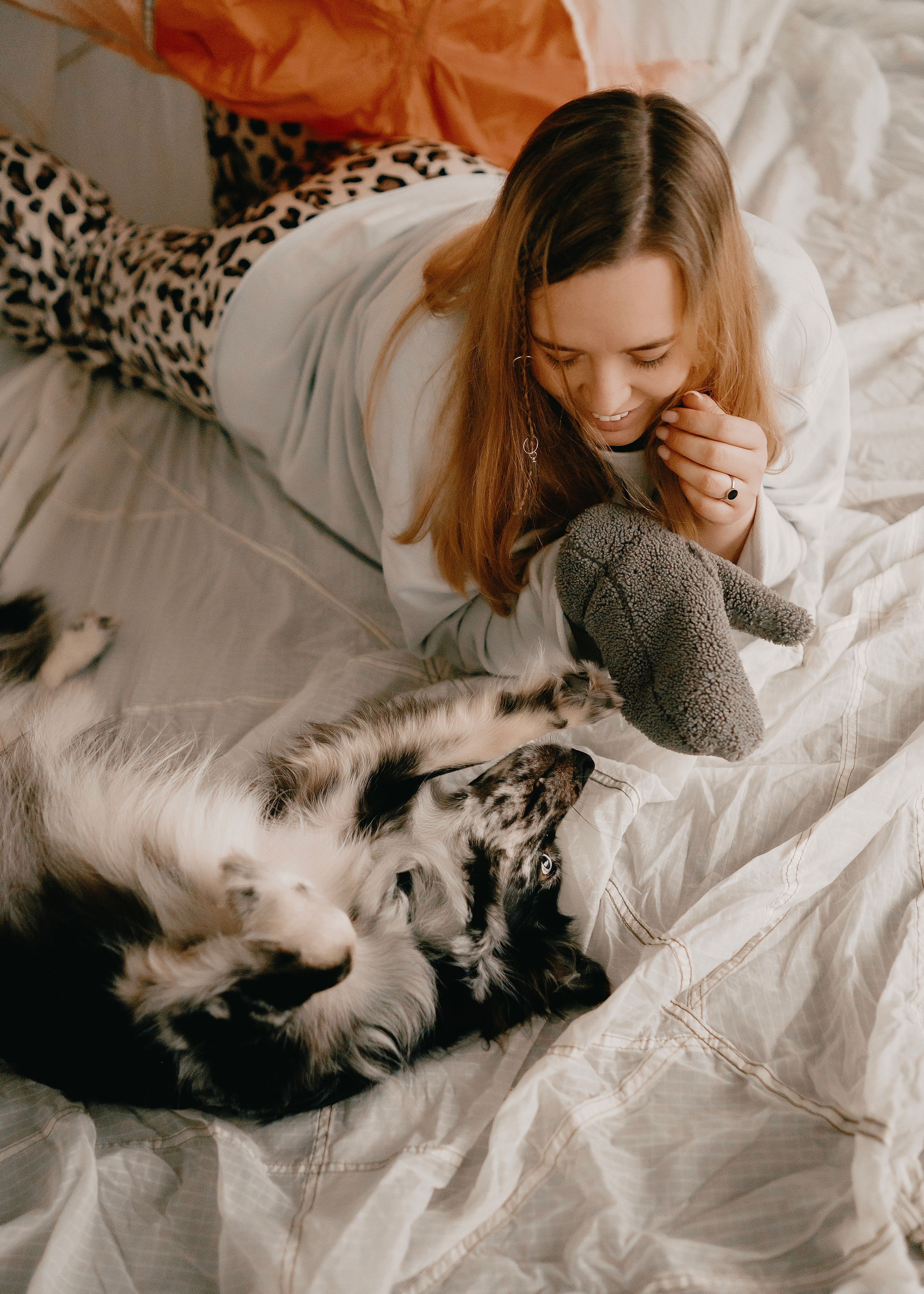 Бублик. Фотограф- анималист Александра Матвеева