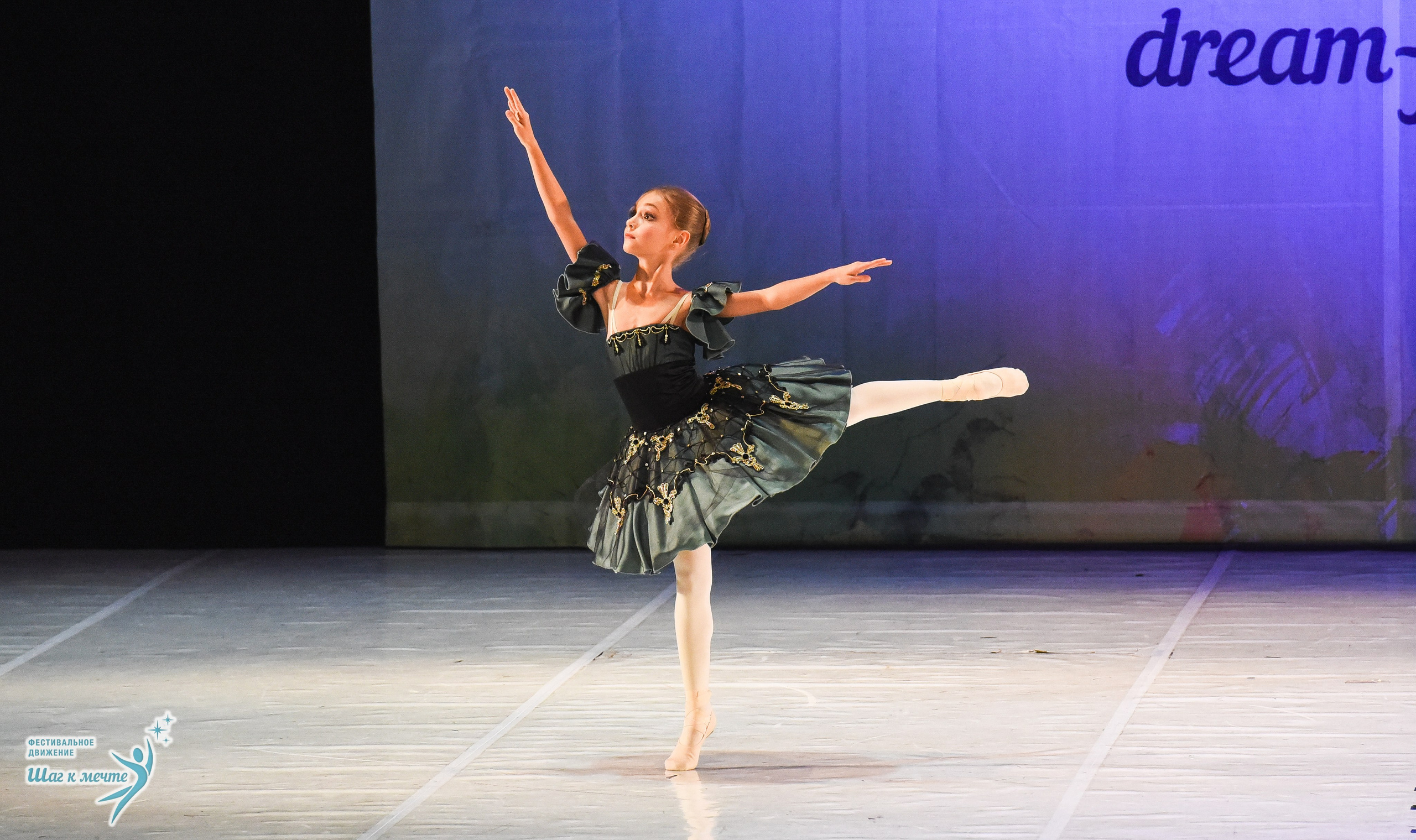 15.11.2025 Фестивальное движение «Шаг к мечте» г. Москва. Медиастудия Фото Концепт