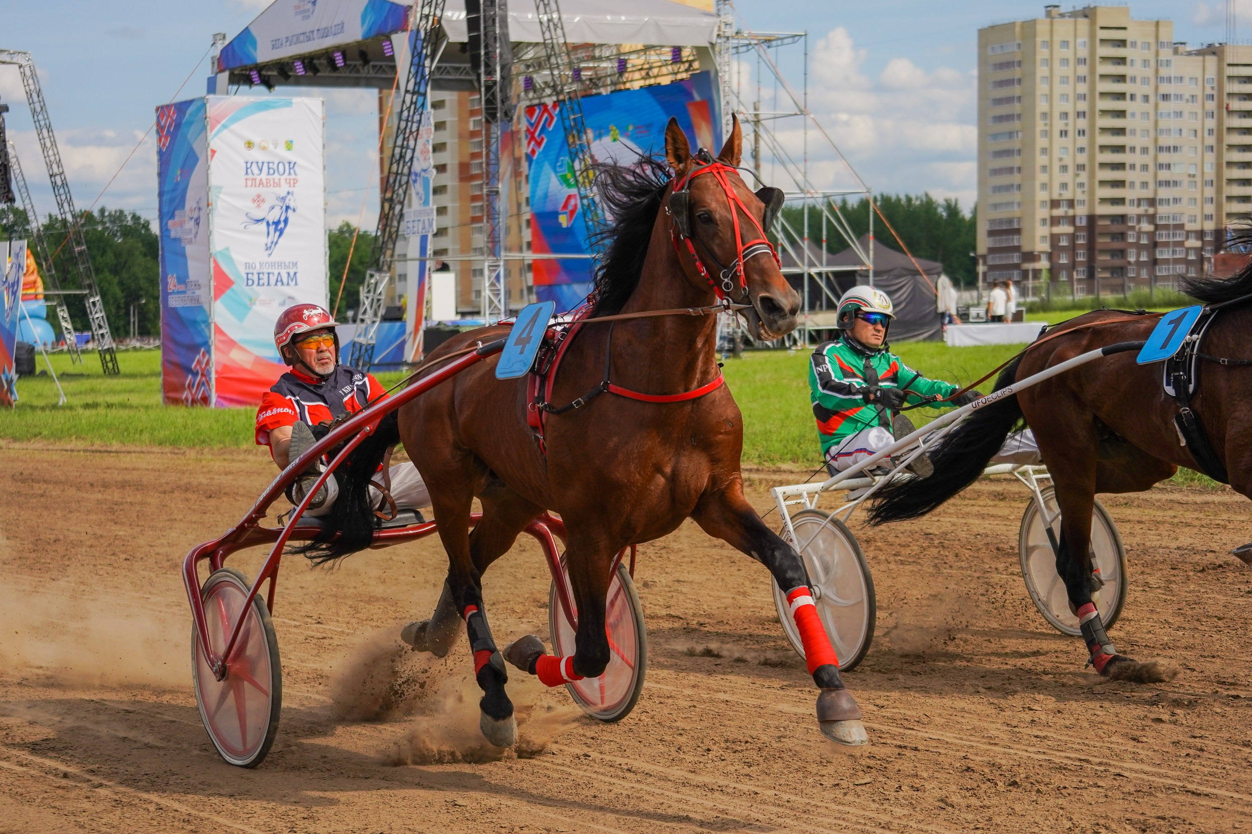 III конные бега на Кубок Главы Чувашии. Фотограф-анималист, портретный фотограф в Чебоксарах Мария Садыкова