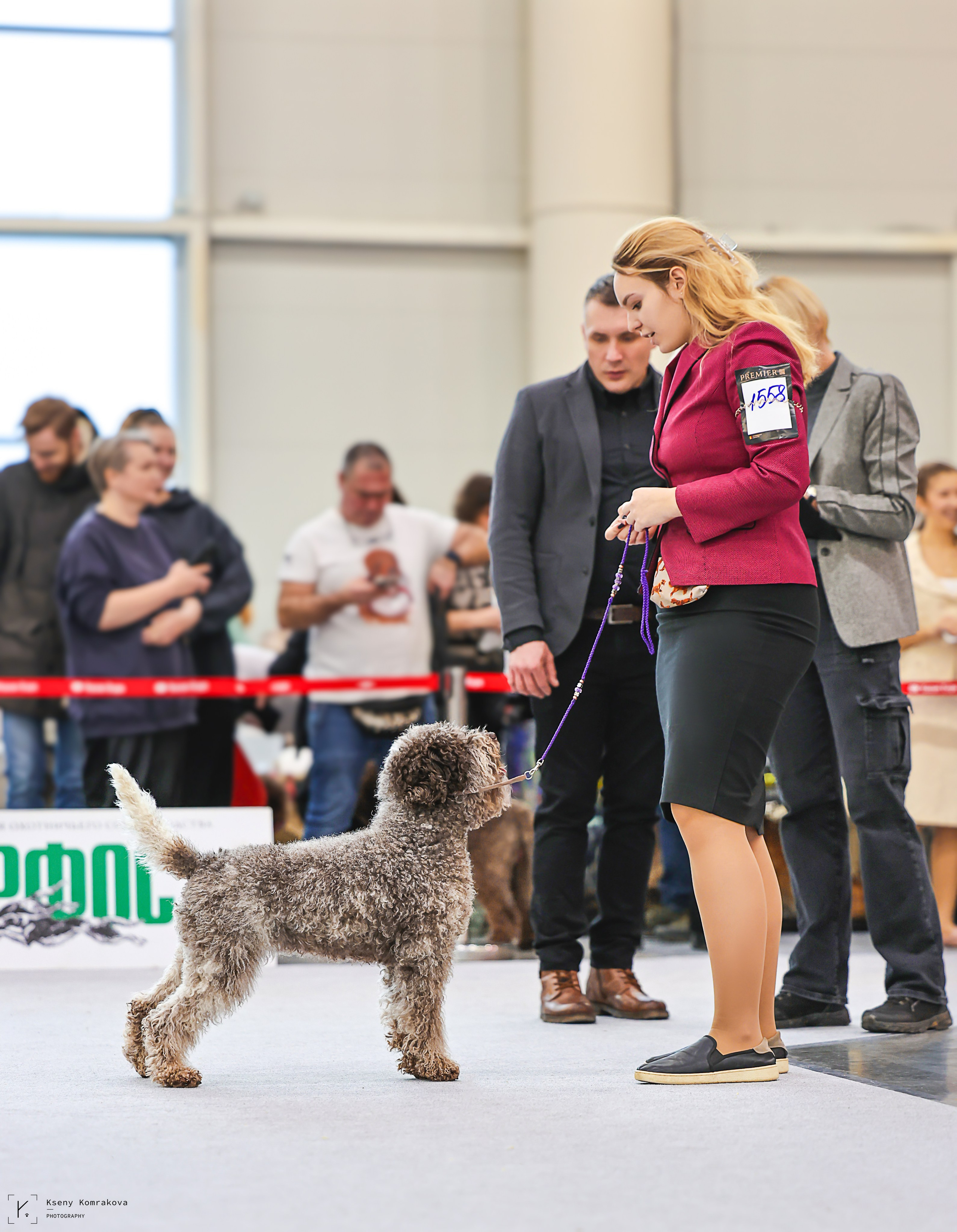 Съемка собак. Анималистика. Репортаж. Индивидуальная съемка