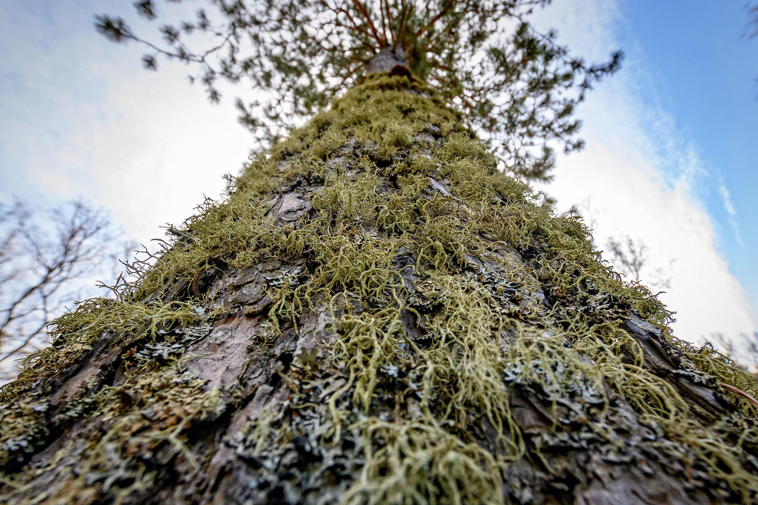 Осень. FotoGraf