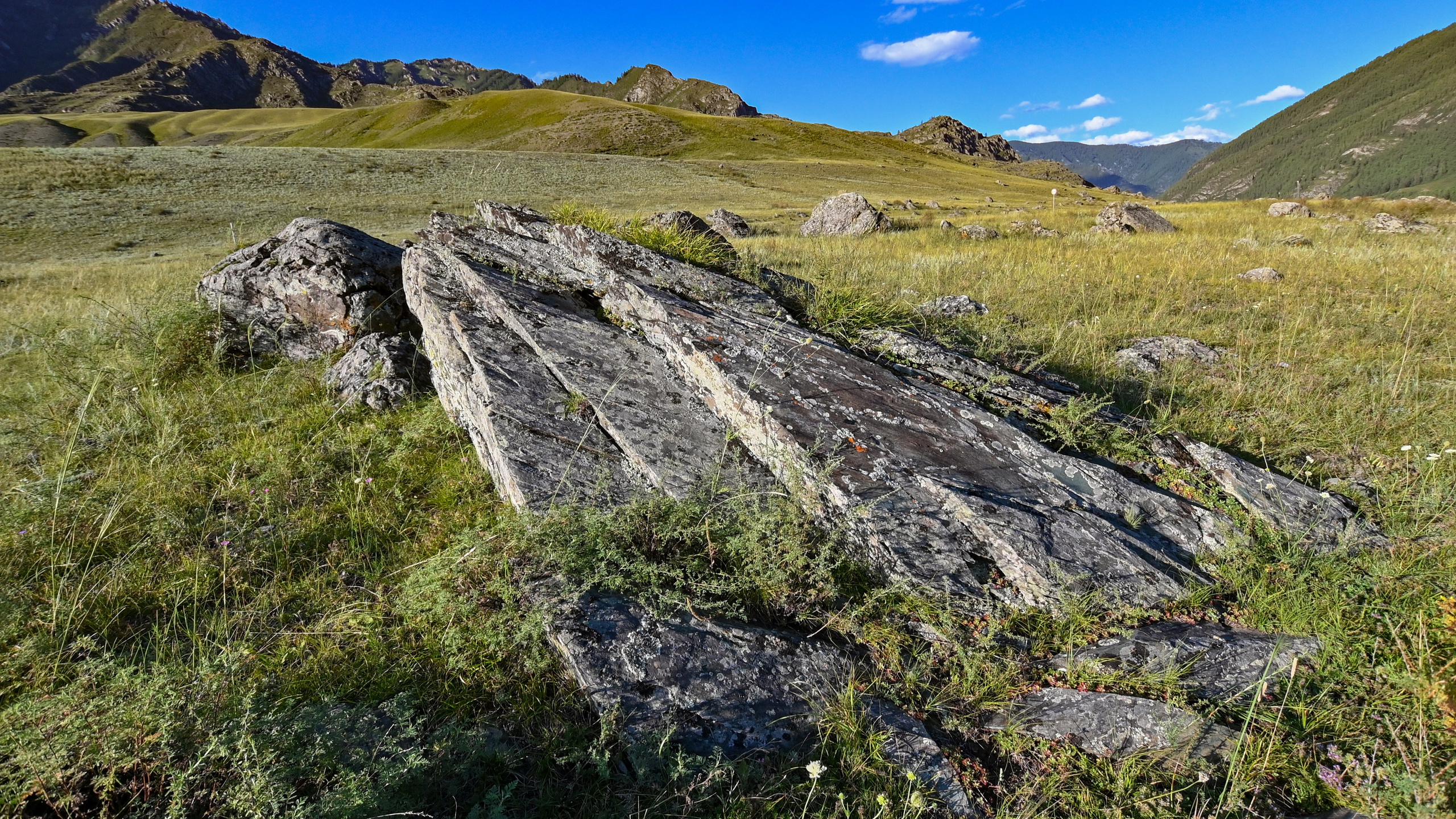 Алтай.Чуйский тракт. Altai.Chuisky tract.
