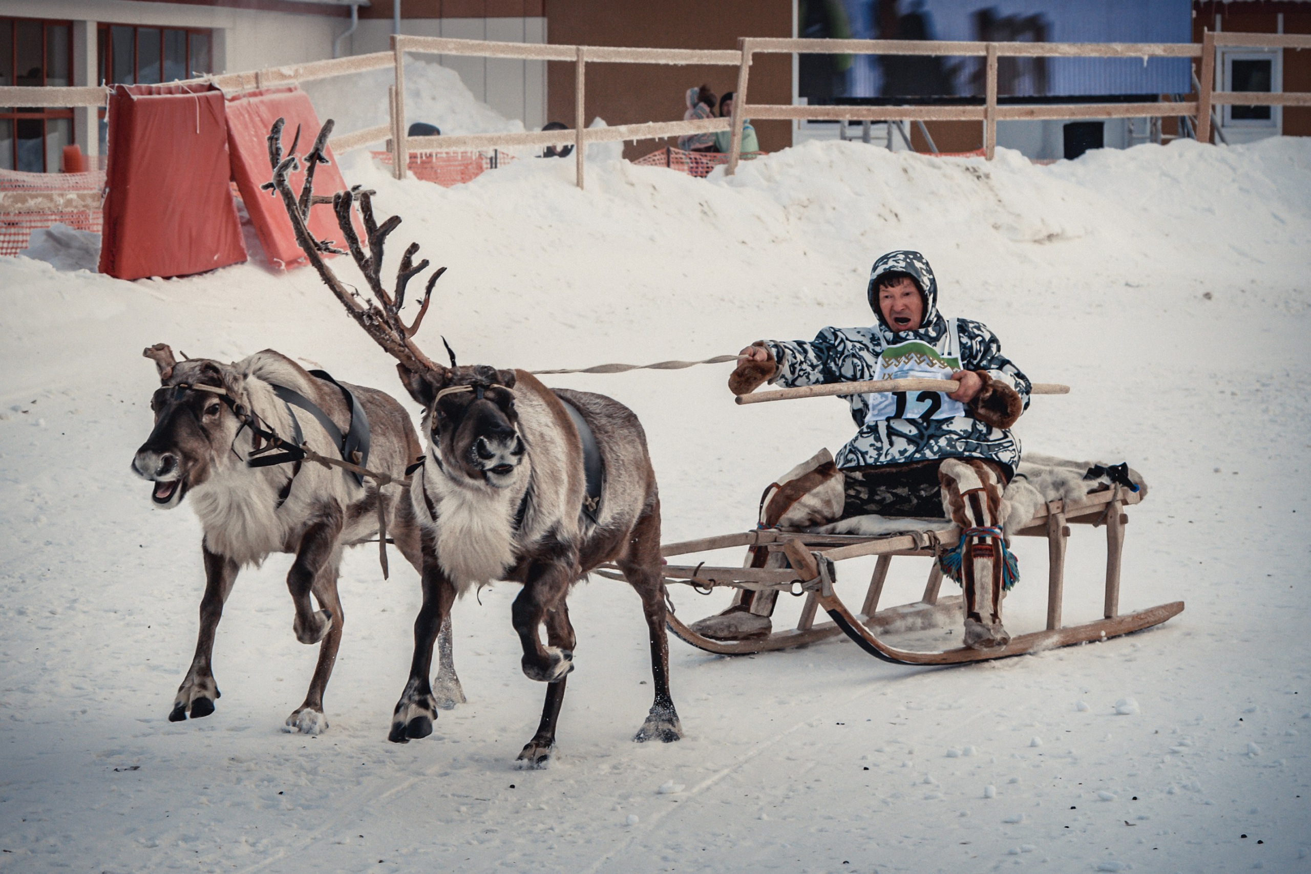Конкурс оленеводов. Фотограф в Ханты-Мансийске Евгений Жуланов