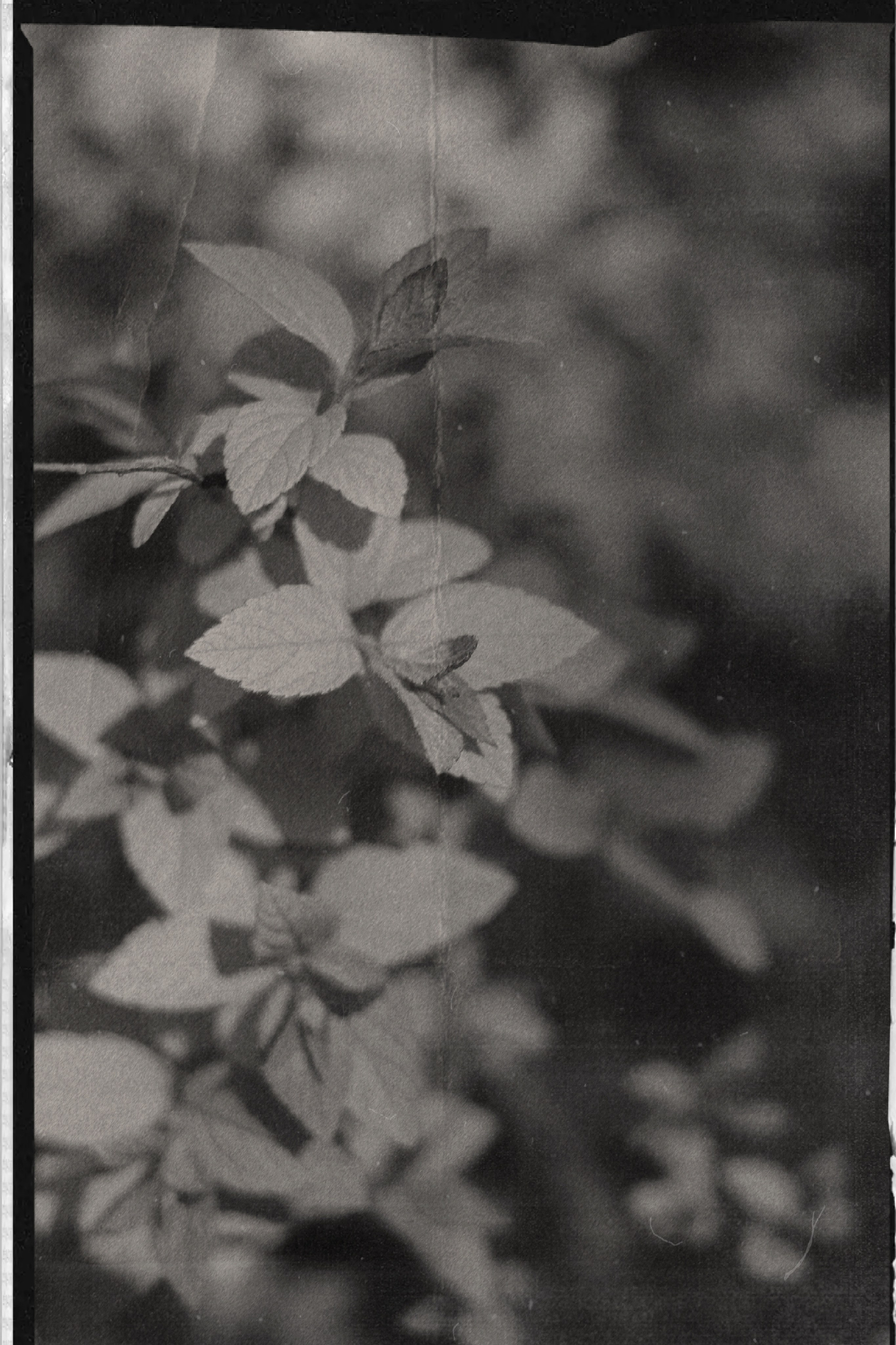 ПОРТРЕТ. Портретный и семейный фотограф в Мариуполе, РФ. Даша Жогло