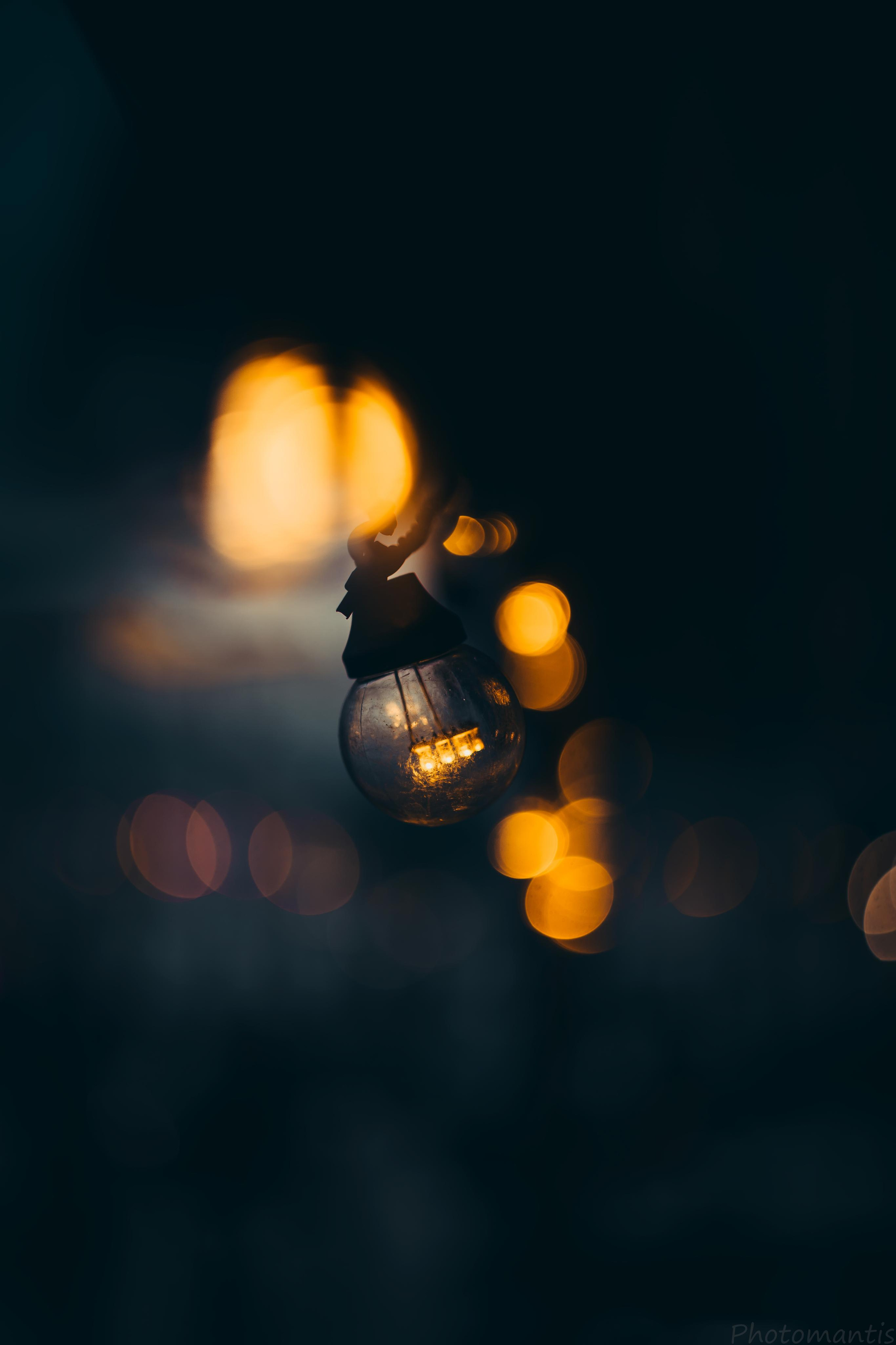 Разное. Photomantis