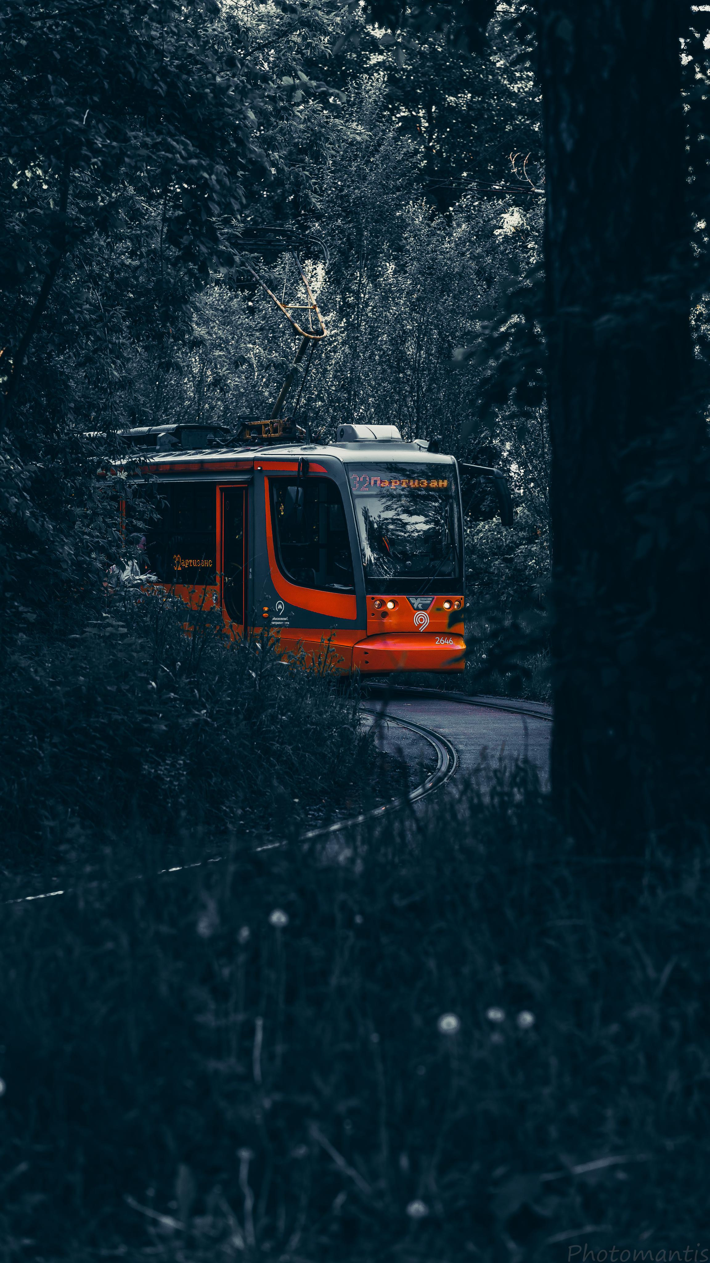 Разное. Photomantis