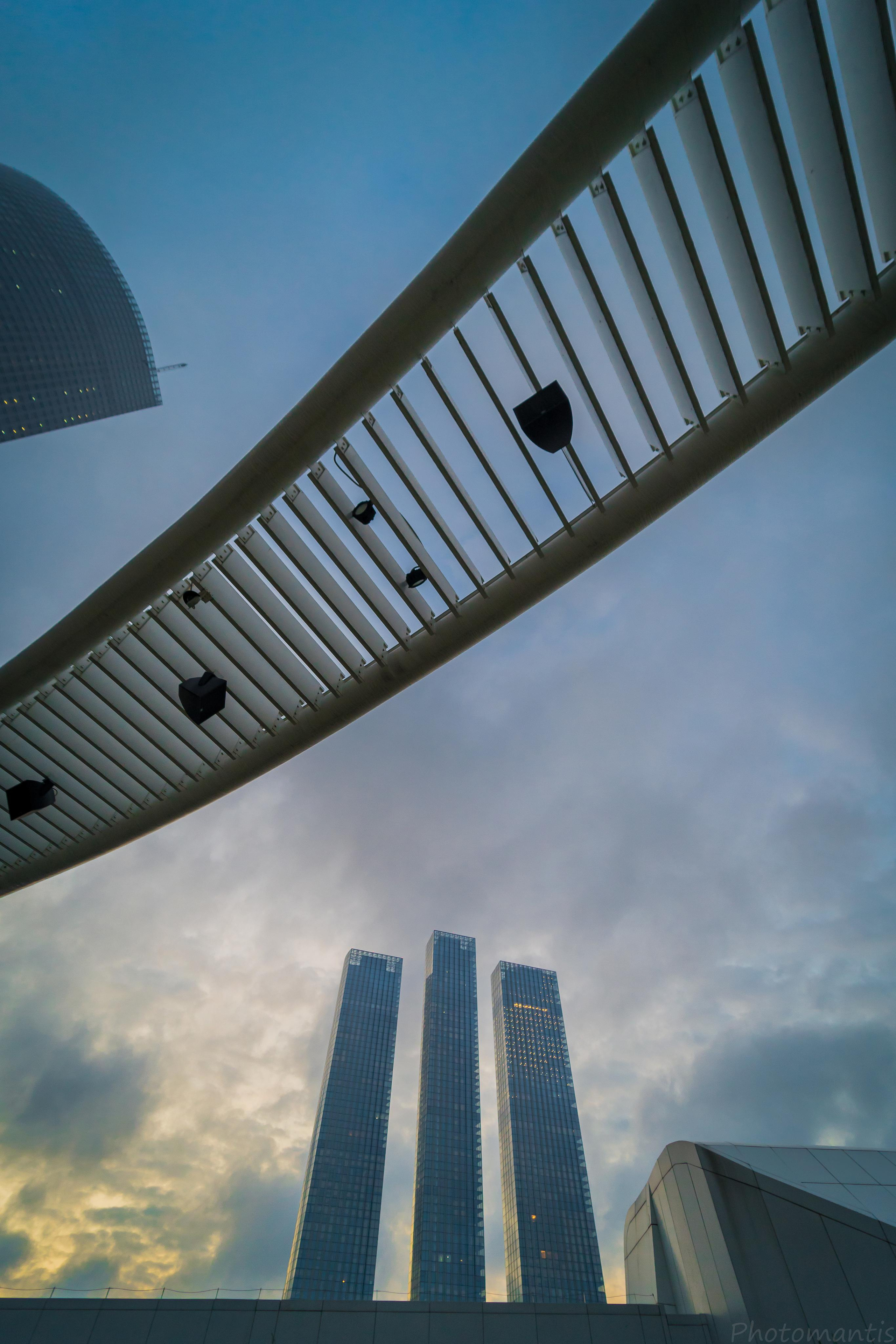 Разное. Photomantis