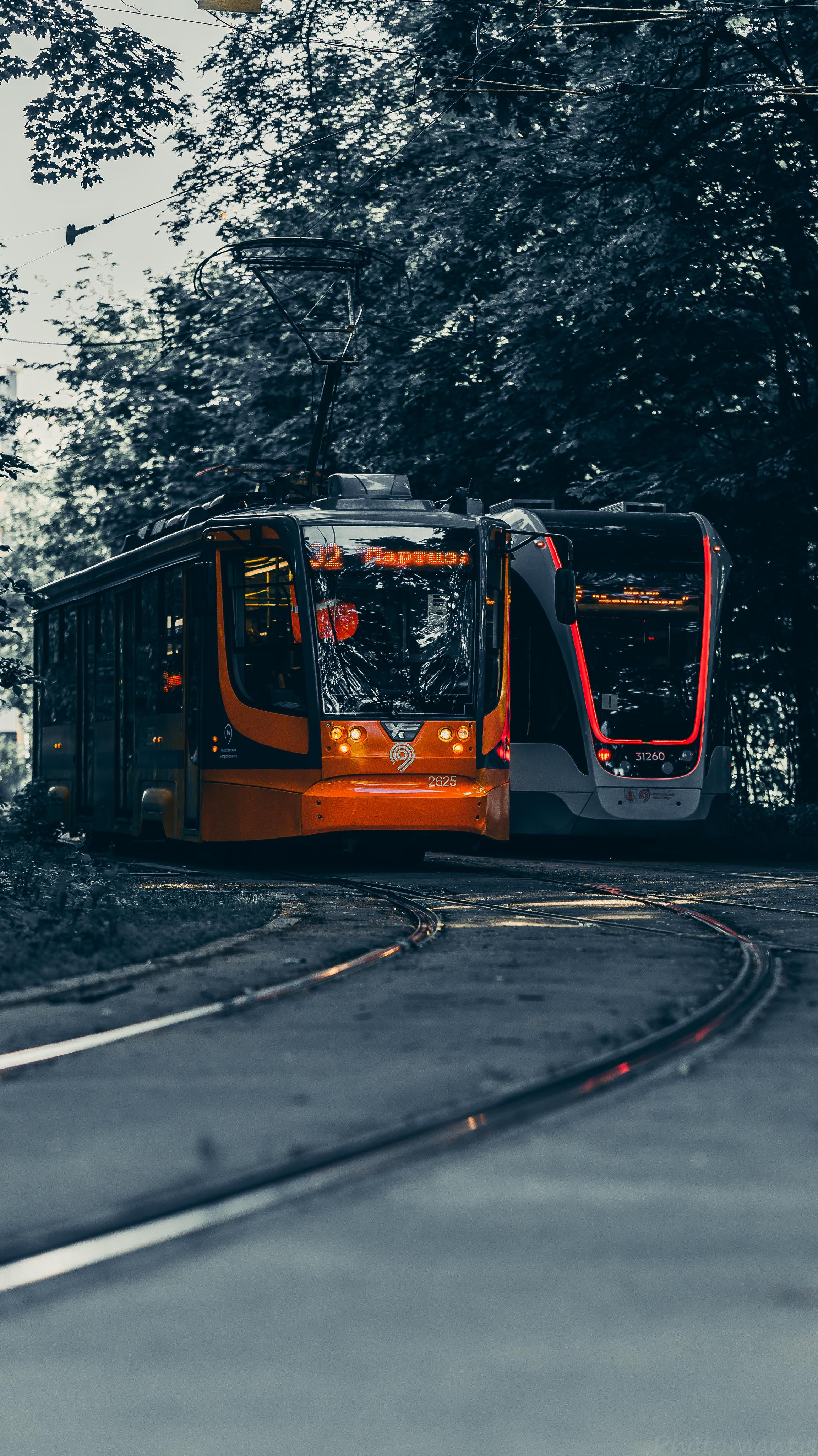 Разное. Photomantis