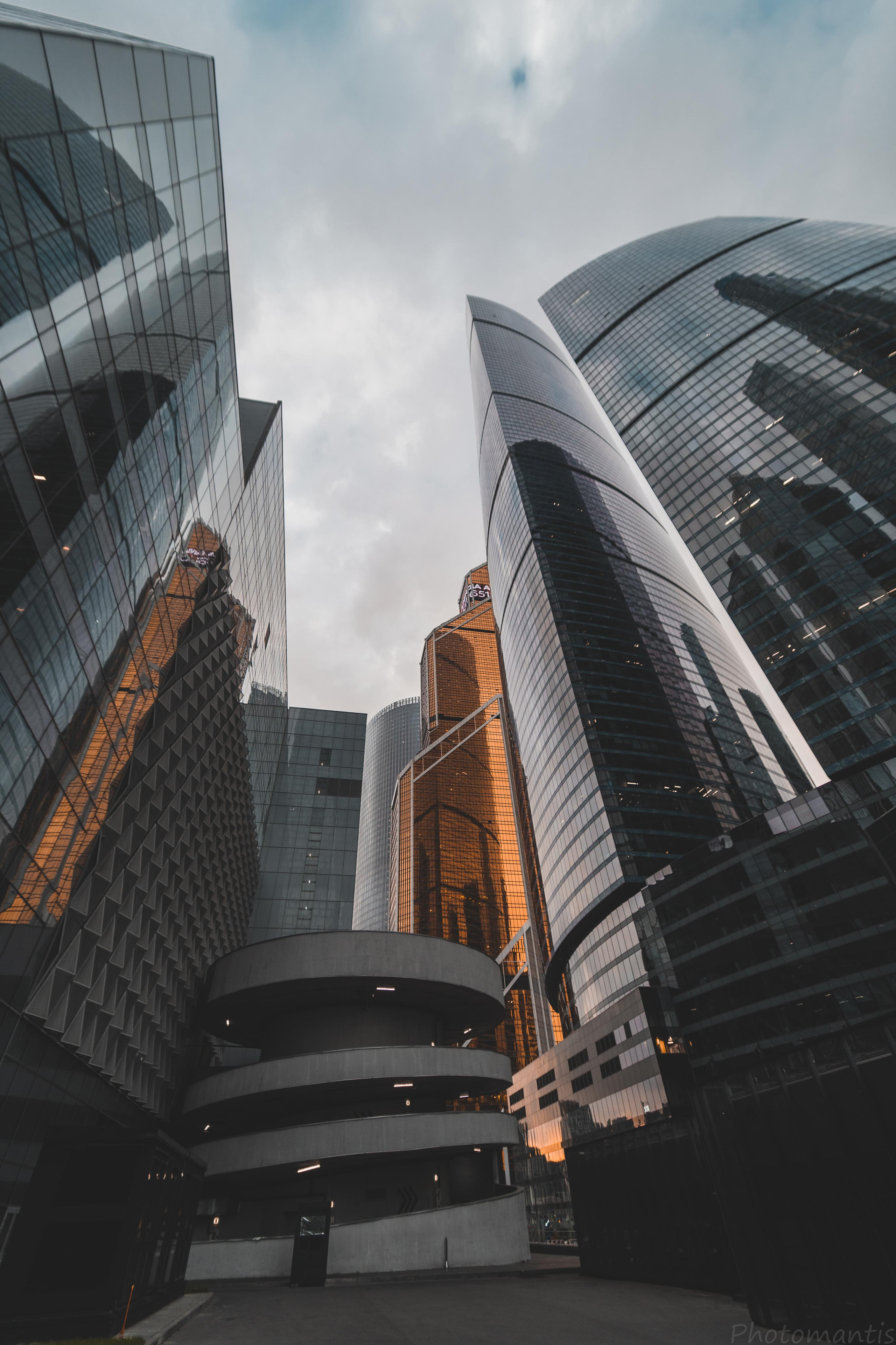 Разное. Photomantis