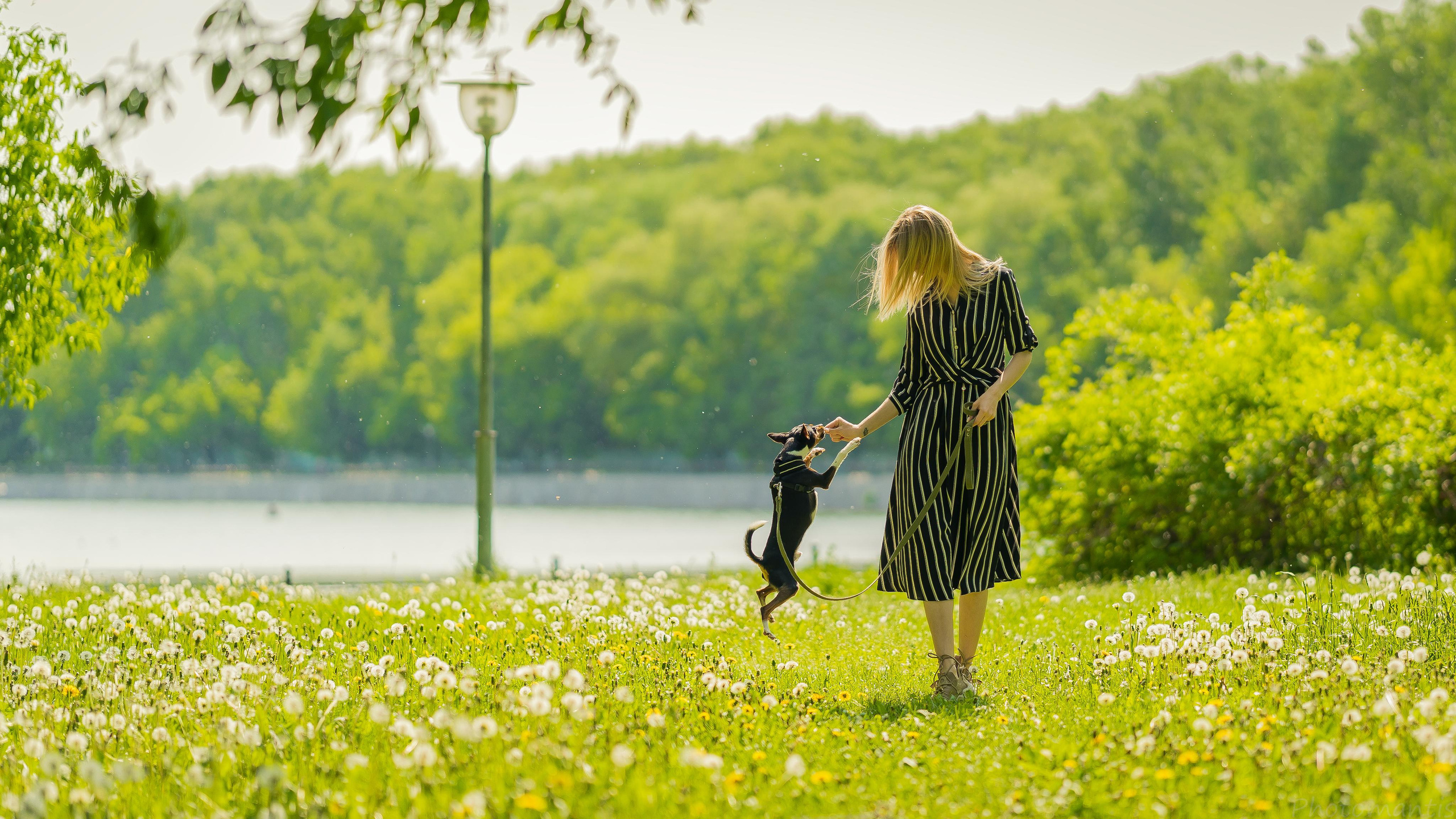 Уличная фотосессия. Photomantis