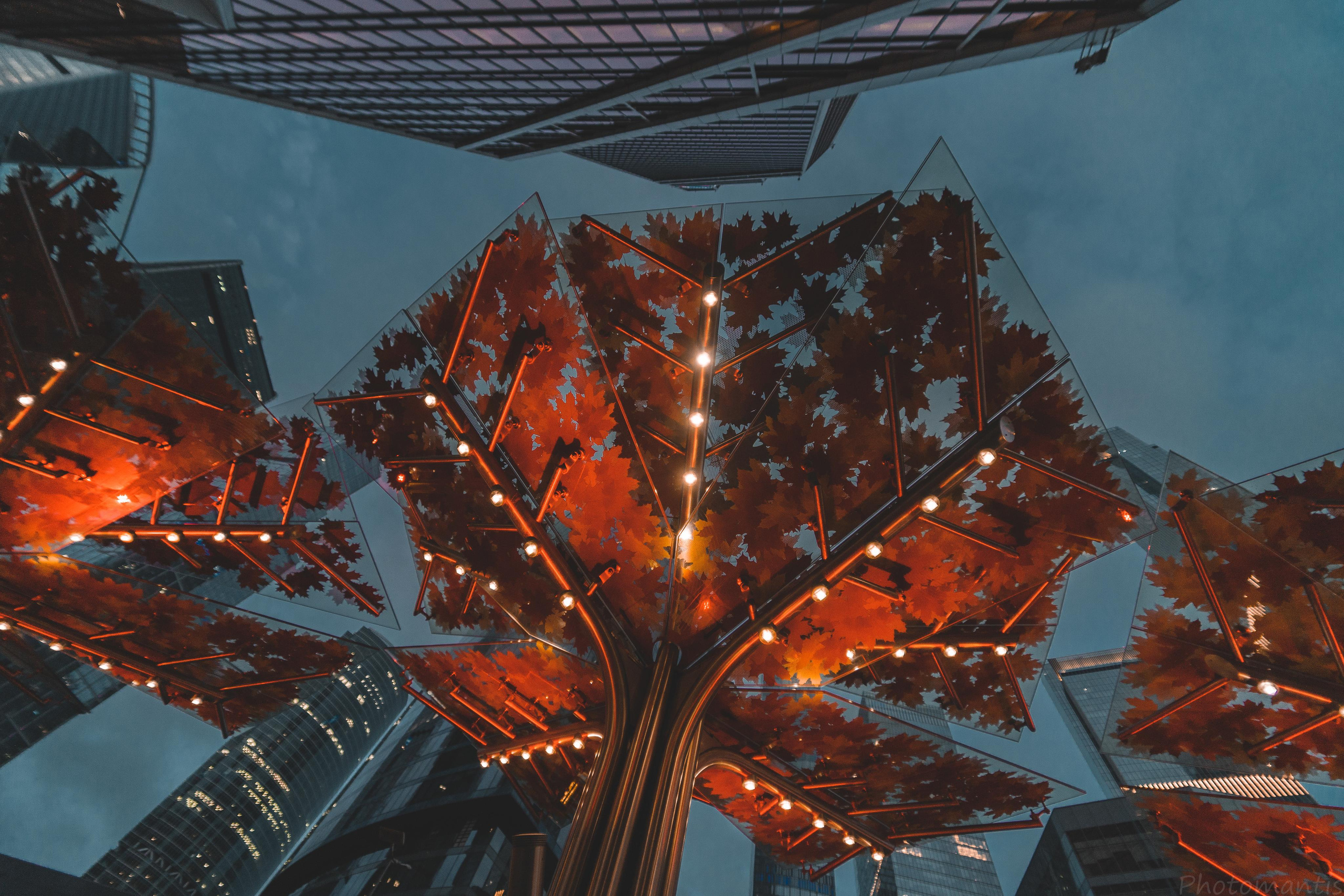 Разное. Photomantis