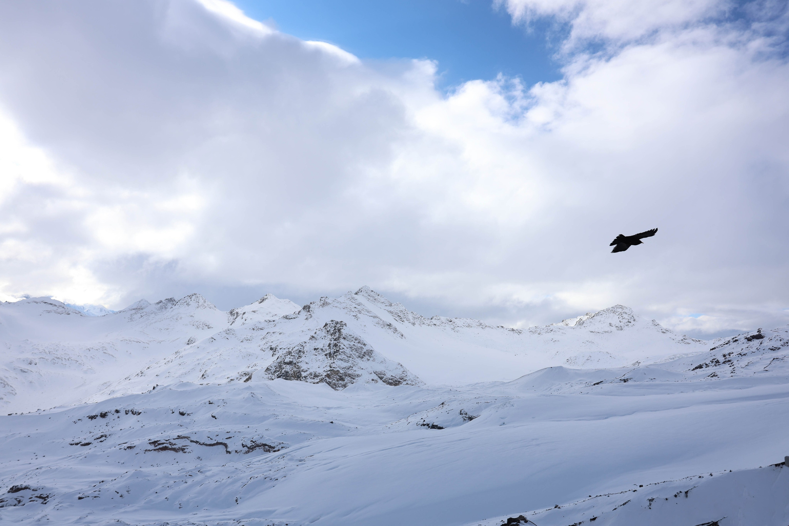 Фотограф Мария Алексеева. Мария Алексеева. Фотограф в Москве