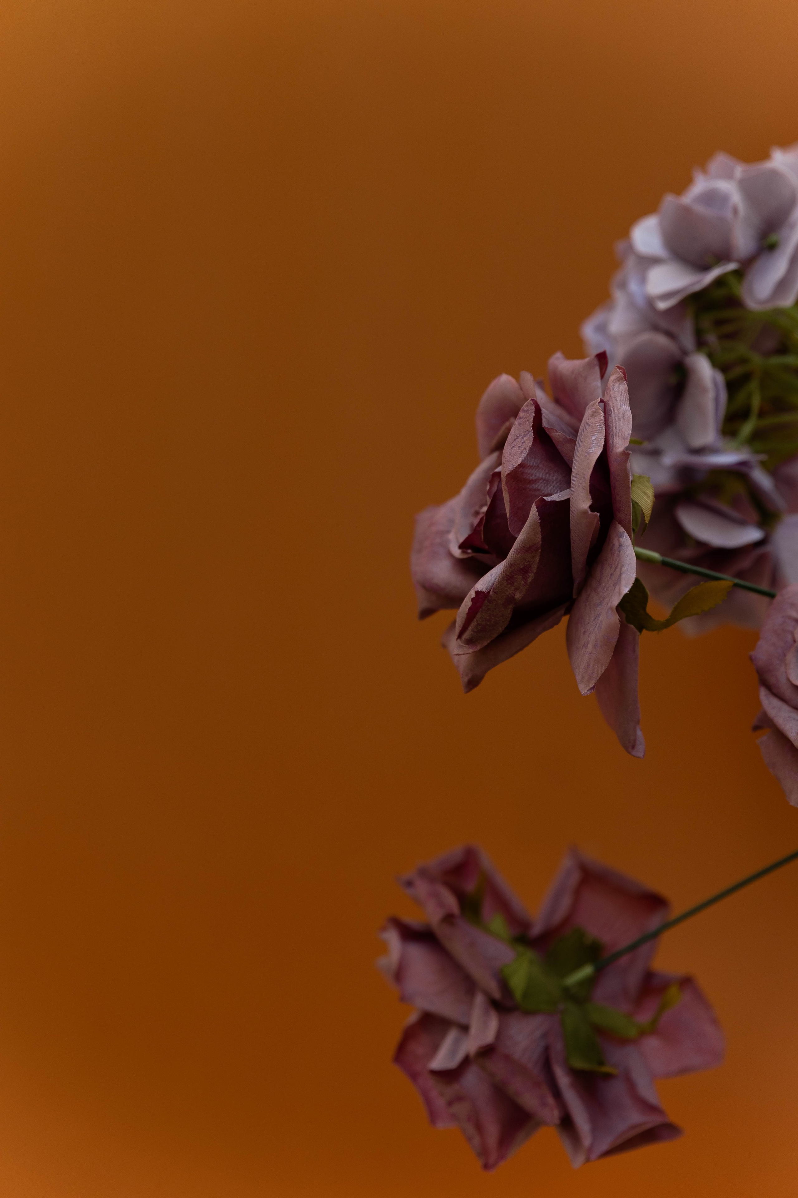 RODION | OLGA. Главная