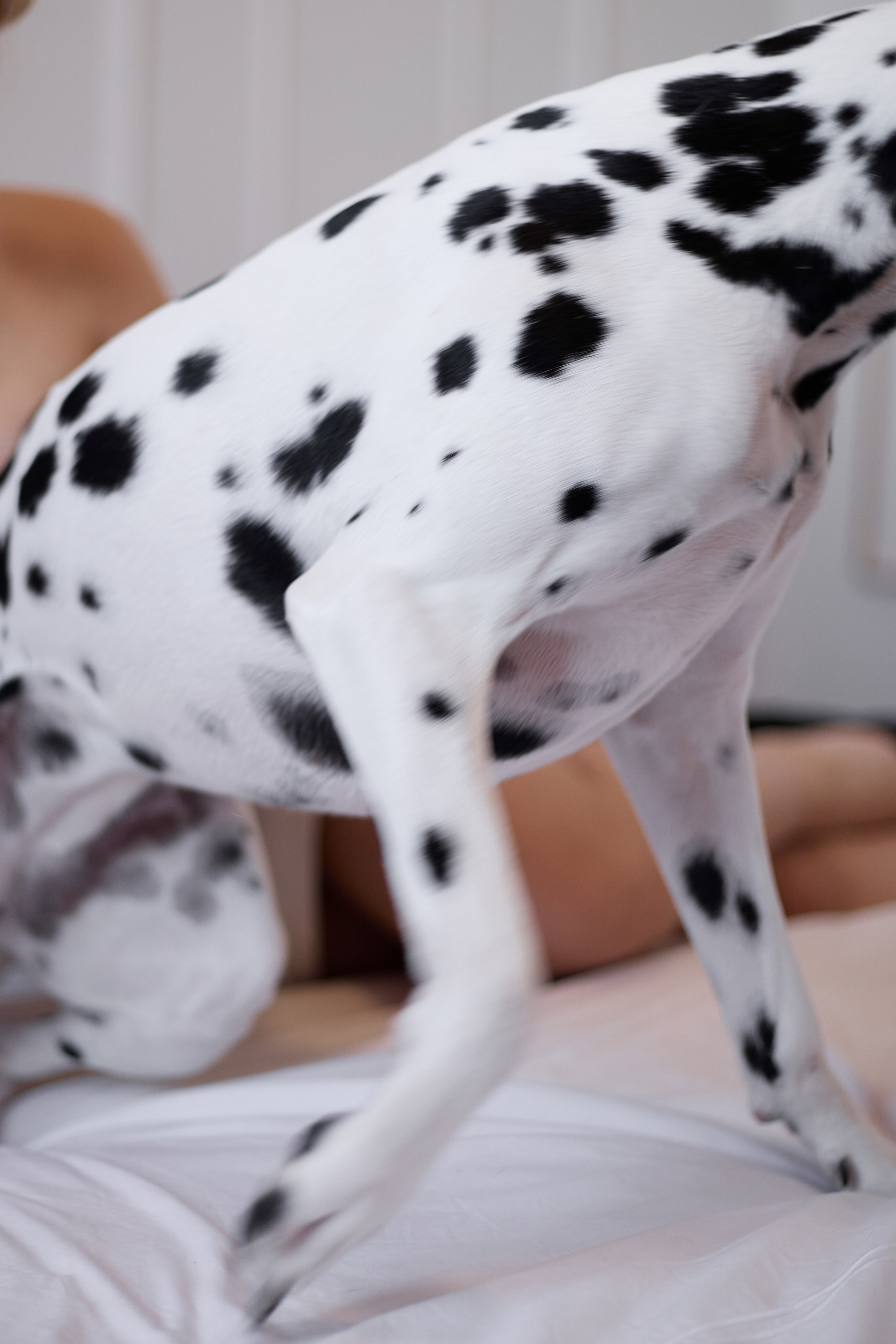 Гоша и Даша. Свадебный фотограф Нижний Новгород