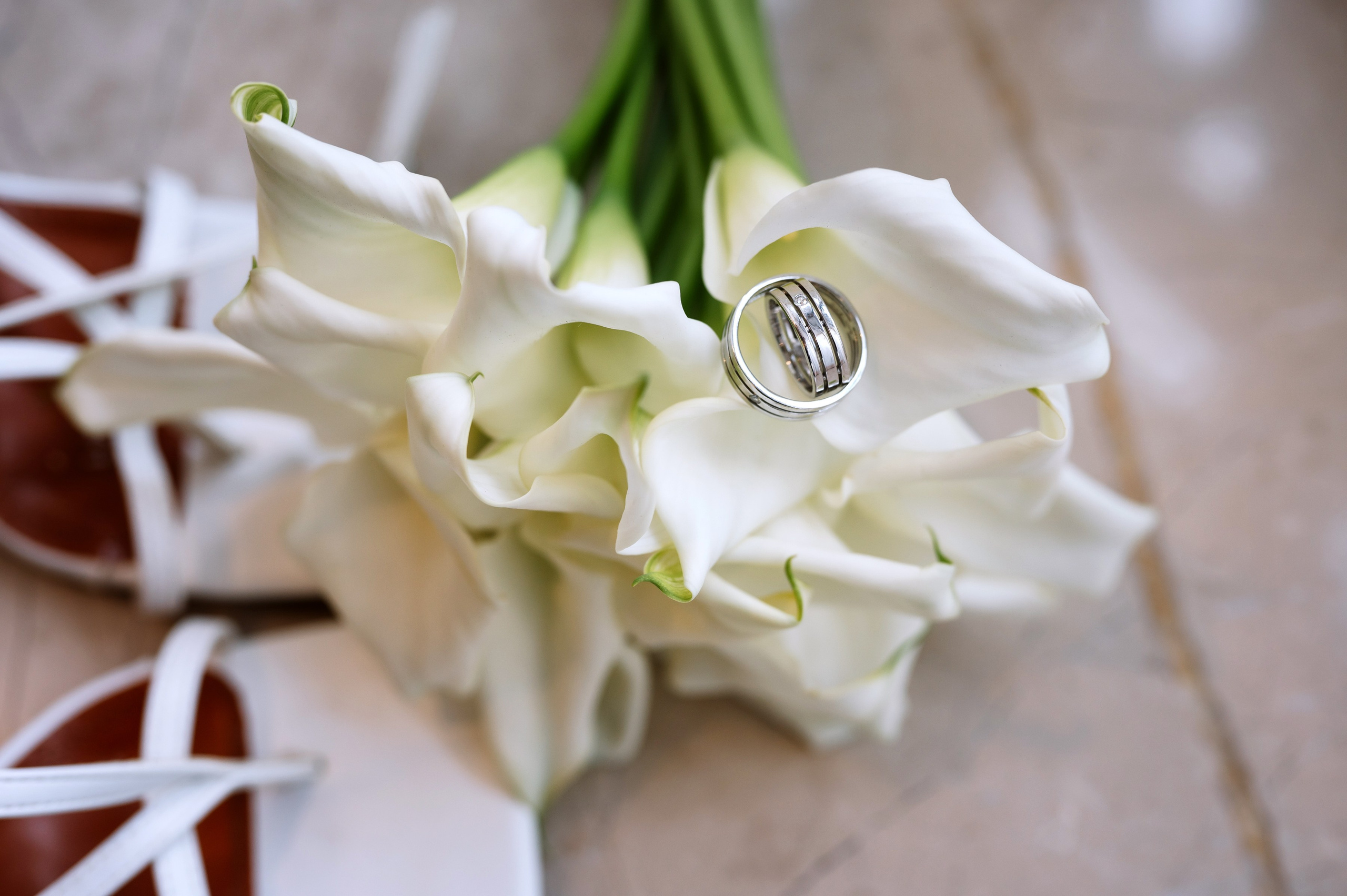 Максим и Влада. Фотограф в сочи Свадебный фотограф Сочи