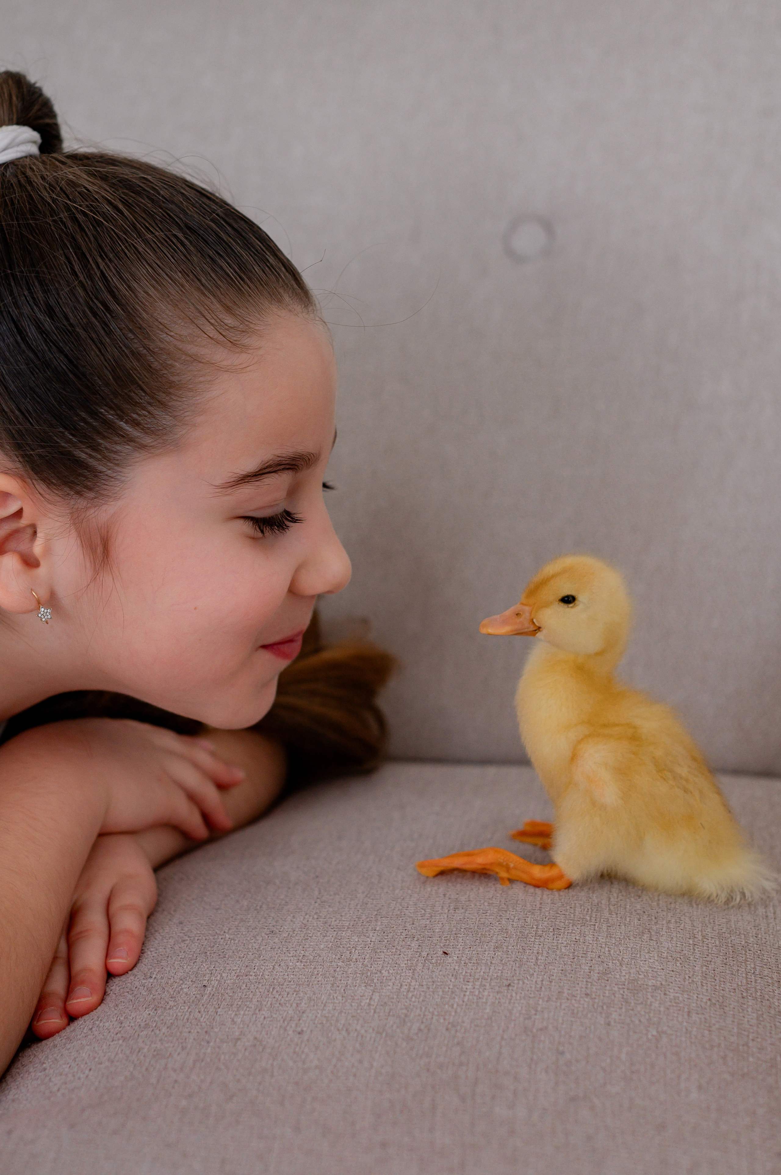Лев Арина Вика Алена. Фотограф Татьяна Иванчикова