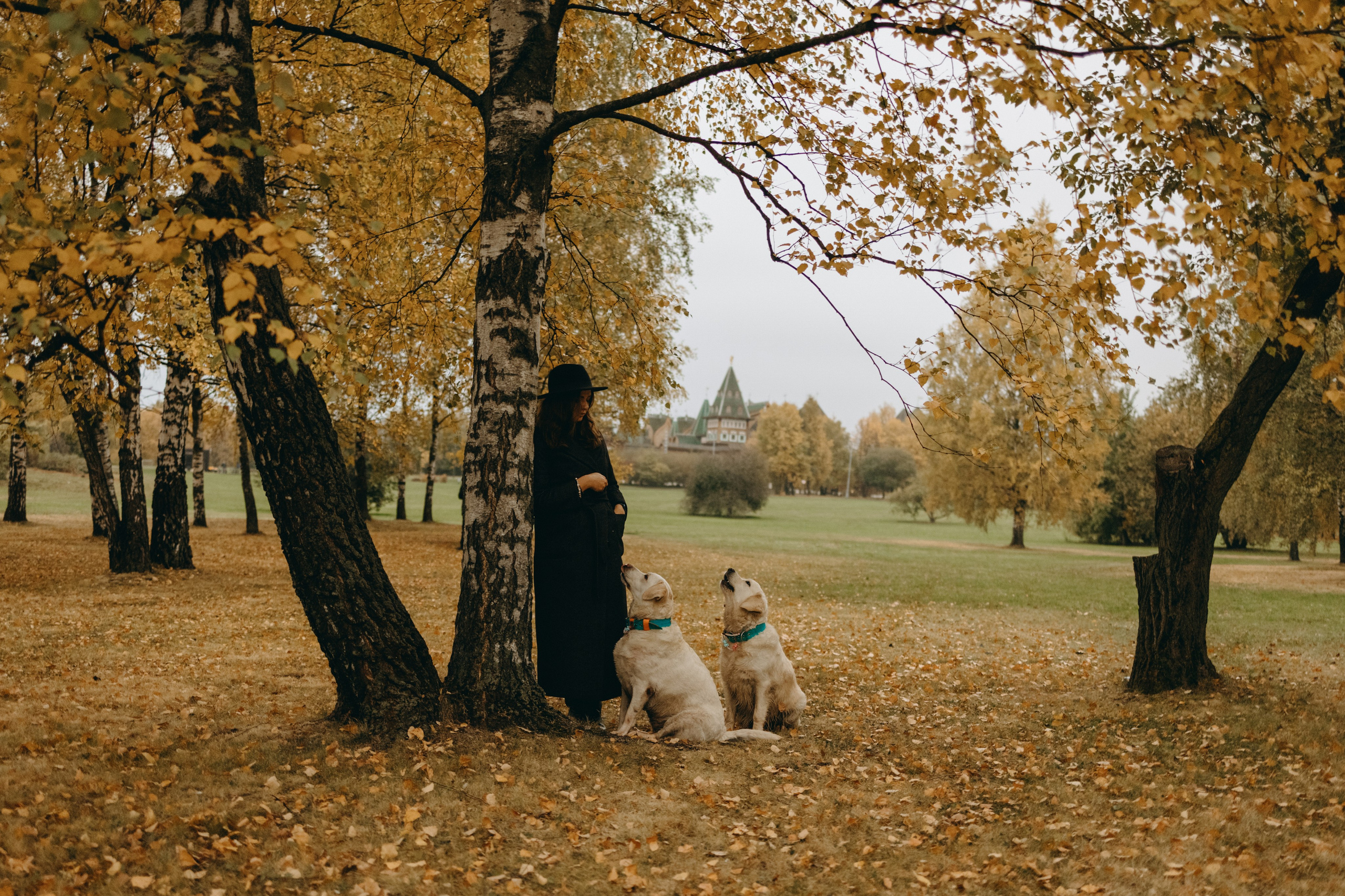 Женя и ее девочки. Фотограф — Анималист | Санкт-Петербург