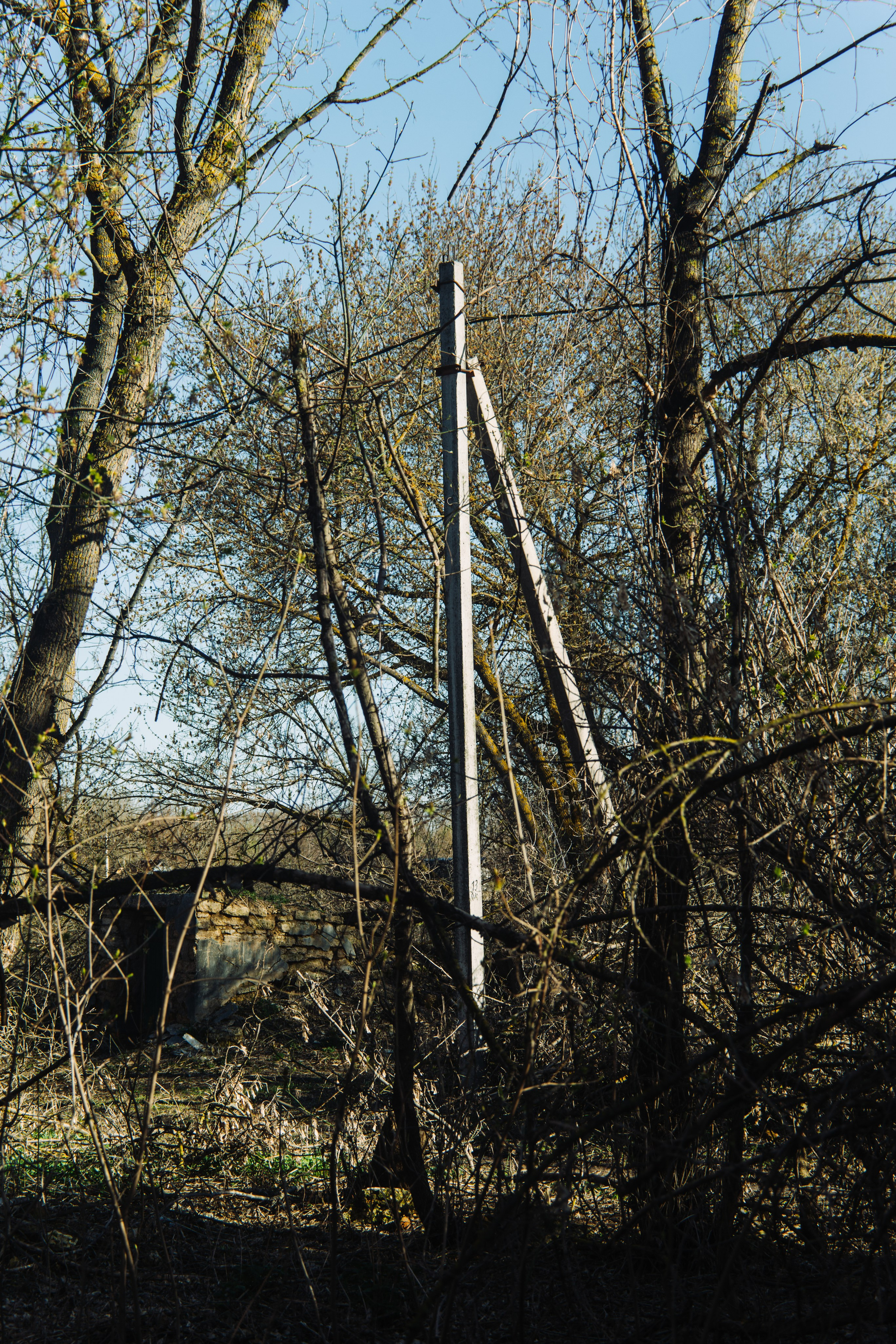 Орановка. Репортажный и портретный фотограф в Липецкой, Воронежской, Московской области Тёма Белоусов