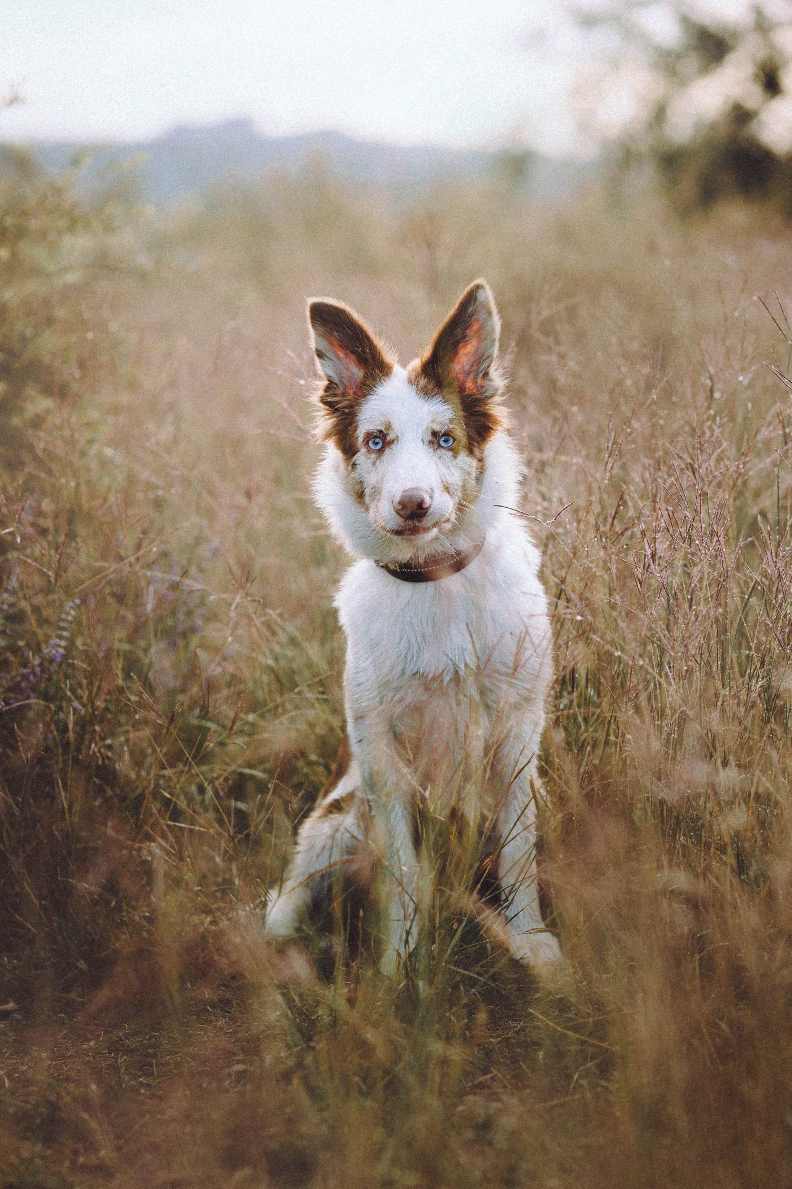 Оля, Саша и Айко