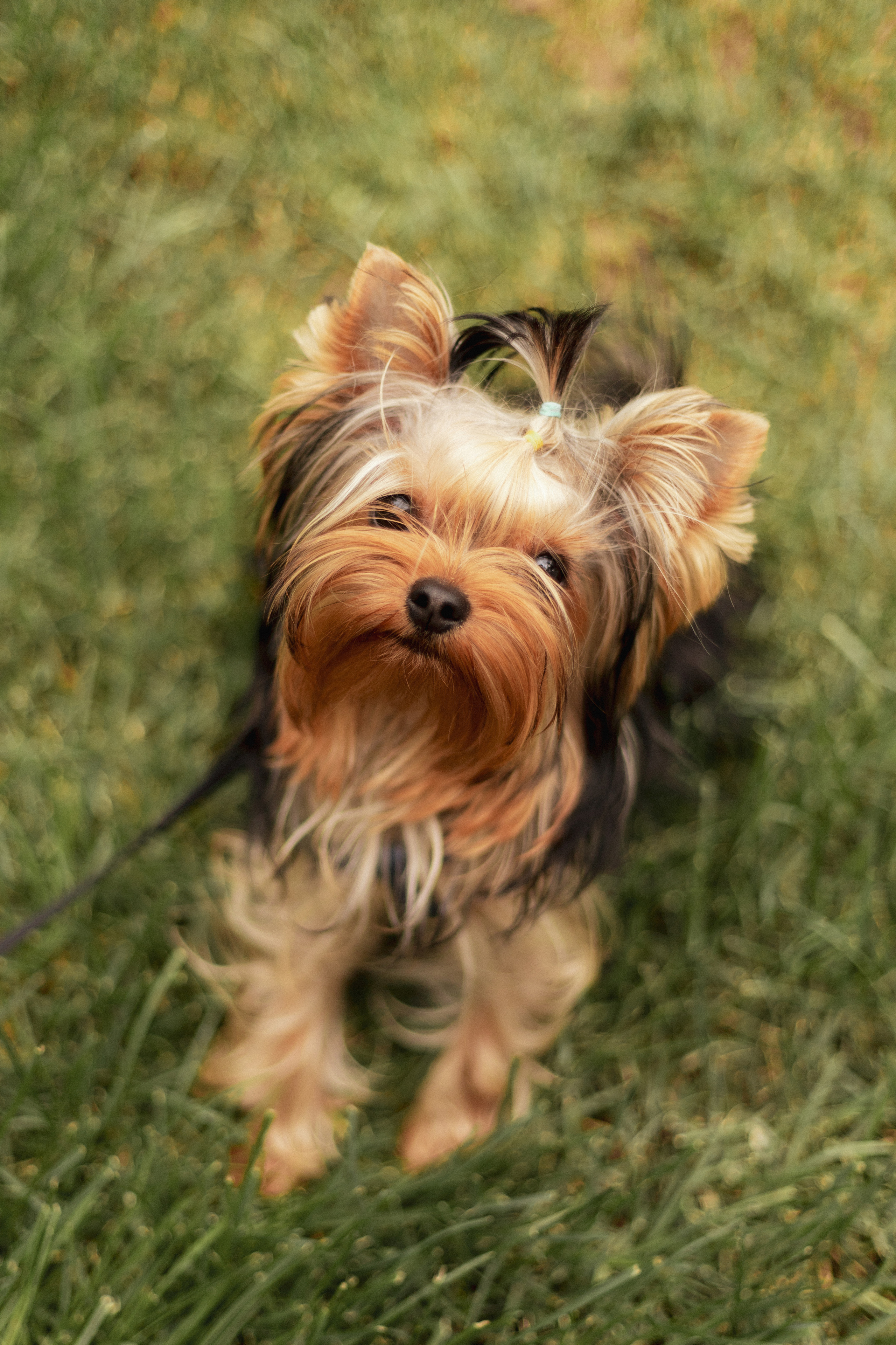 Юля и Влад. Фотограф в Москве и Серпухове Анастасия Руднева