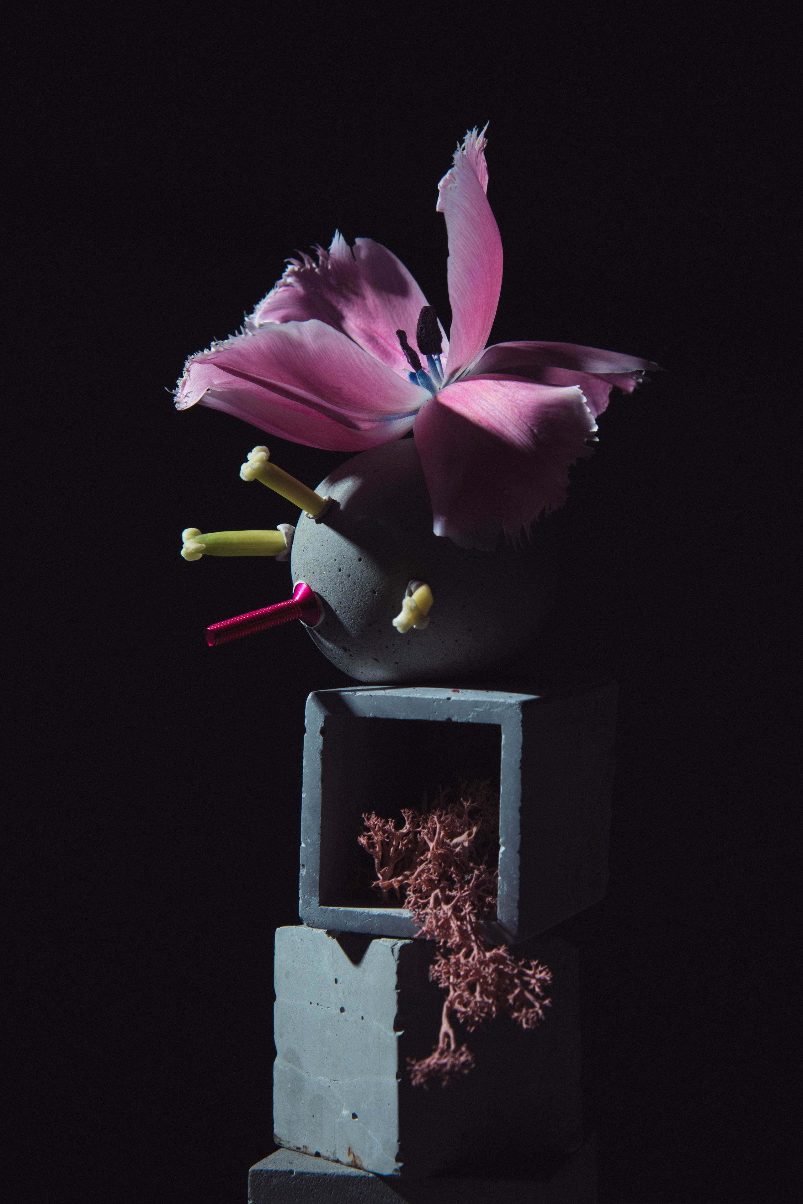 Личные проекты. Предметная фотография