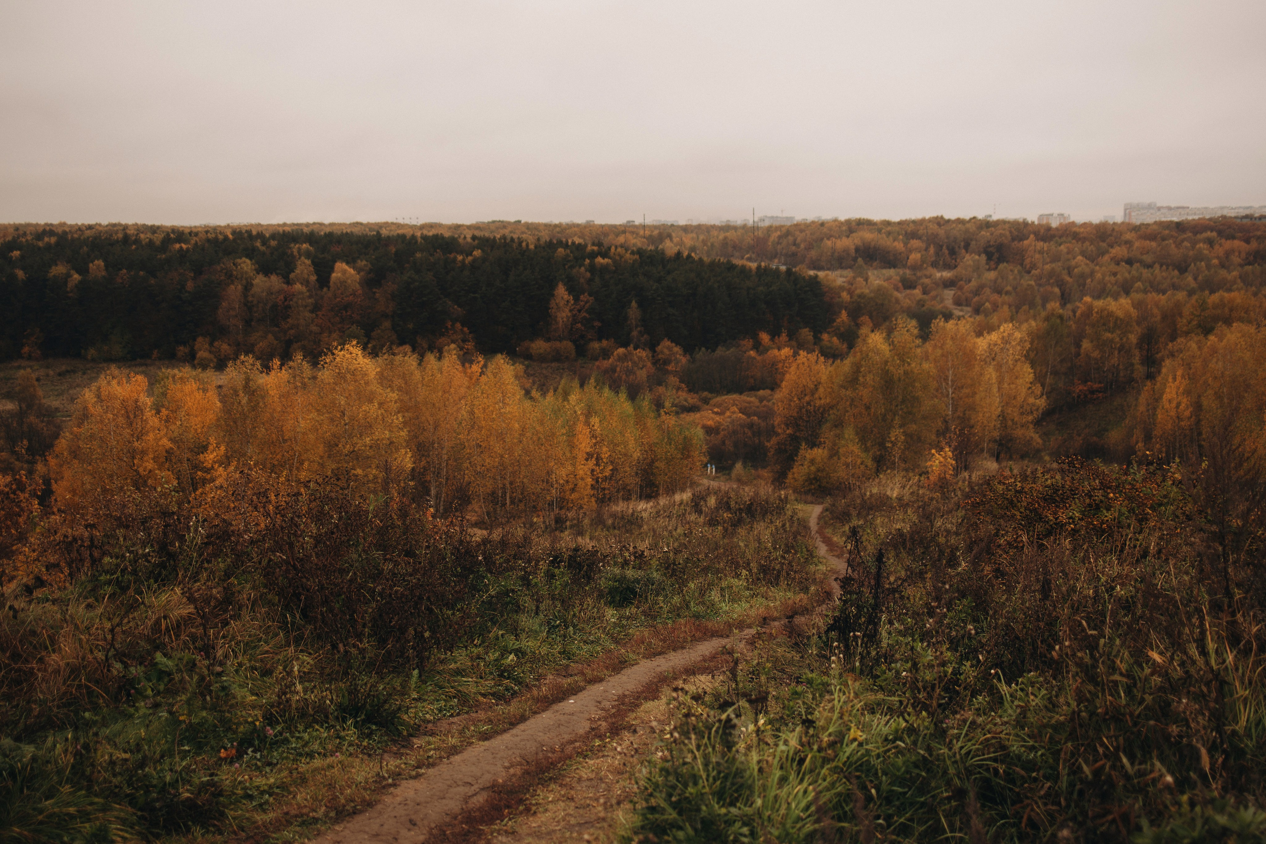 Осенняя фотосессия на Ореховых холмах. Семейный фотограф в Москве Марина Петра