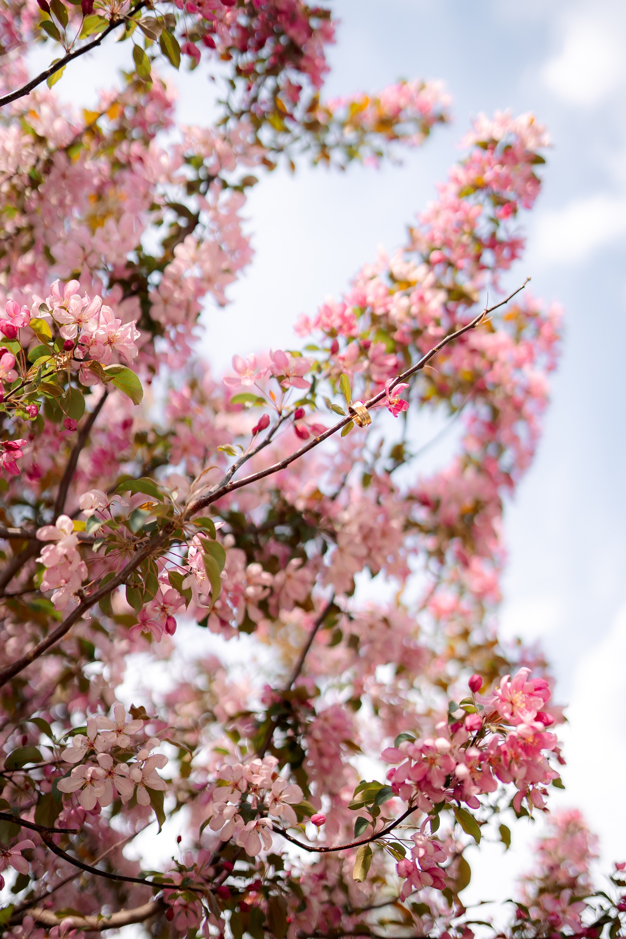 Парк. Фотограф Мария Зайчик