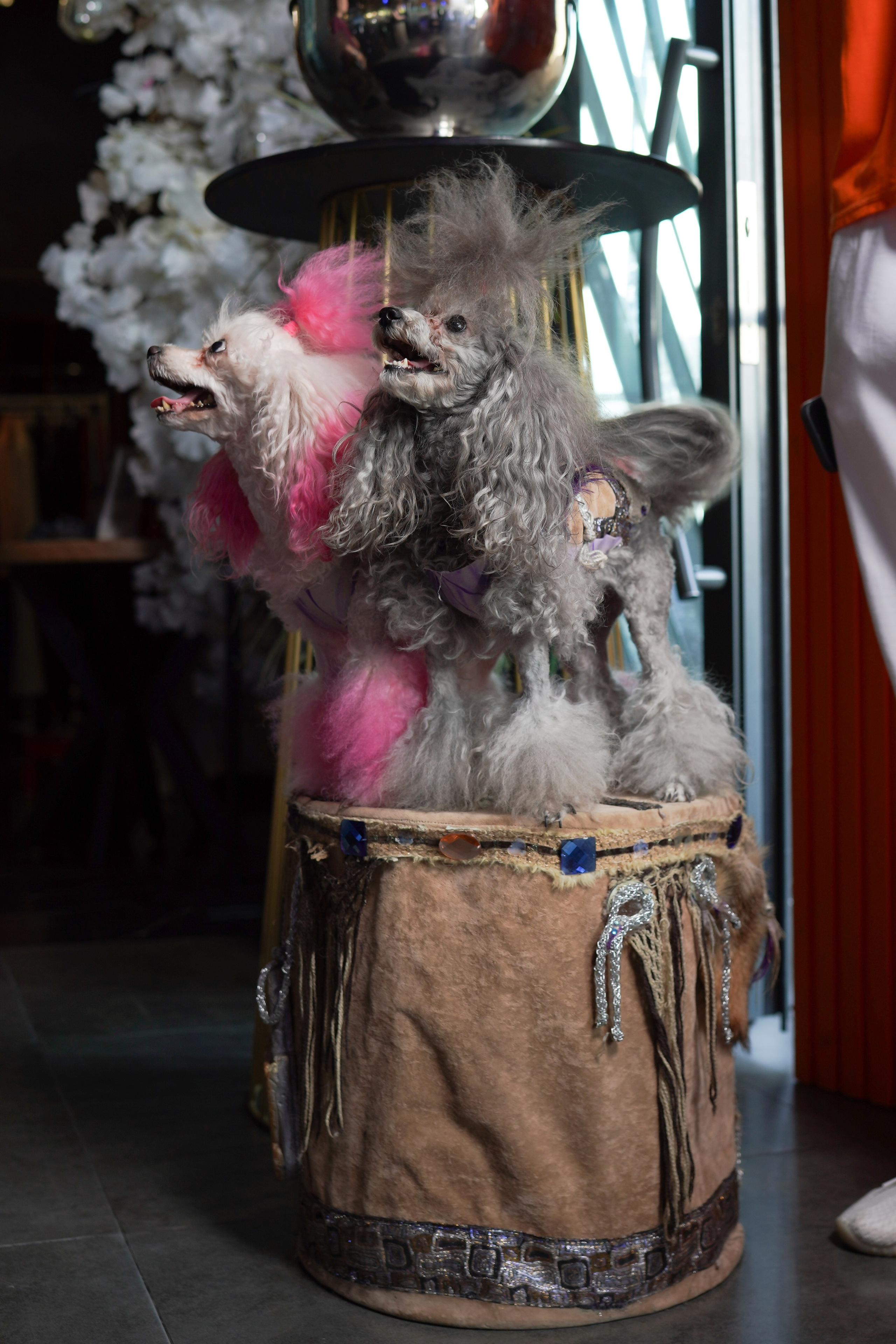 Summer Brunch — Ресторан MOOD