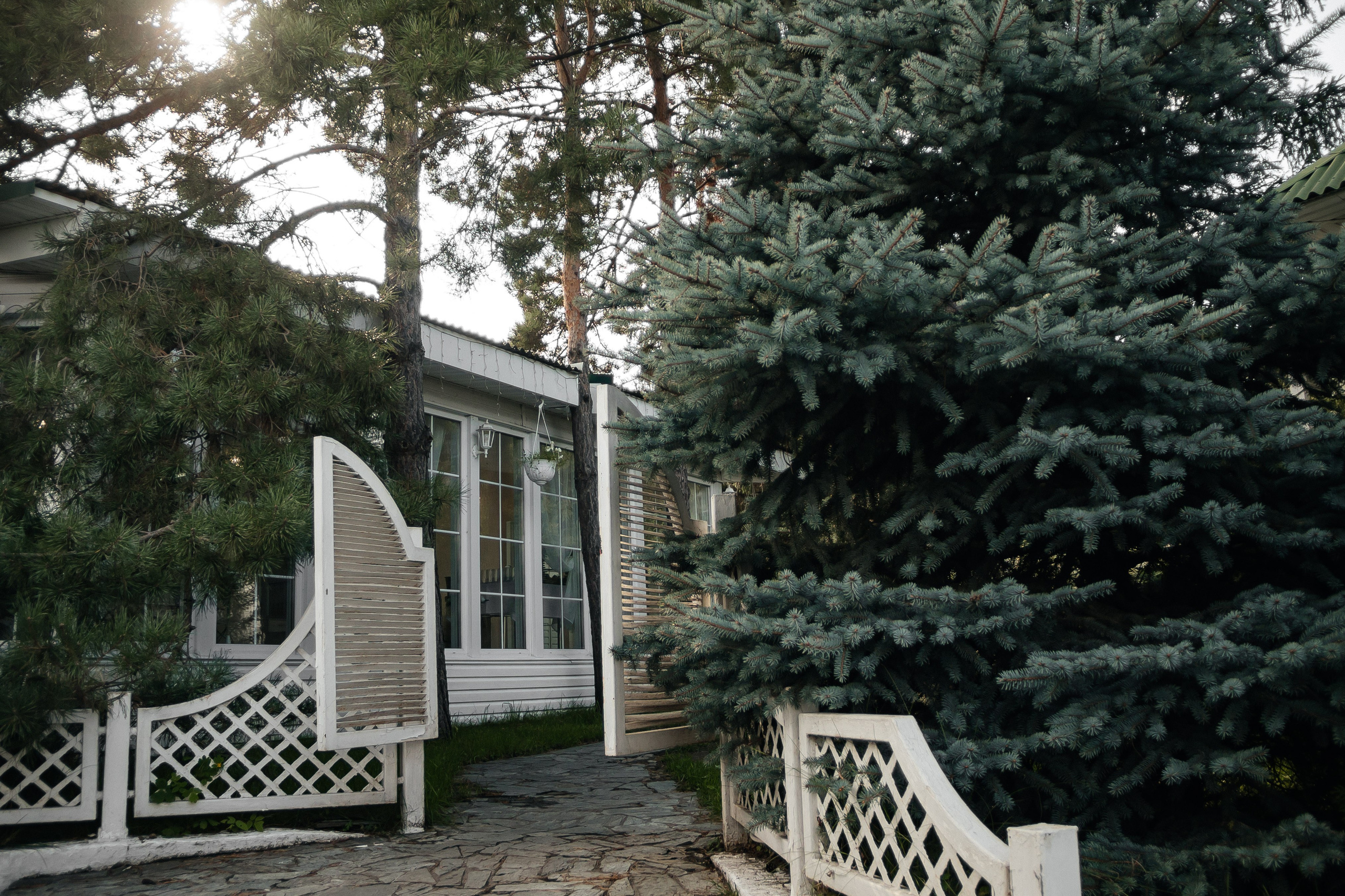 Снежана и Сергей. Свадебный и Семейный фотограф Свекрова Ольга