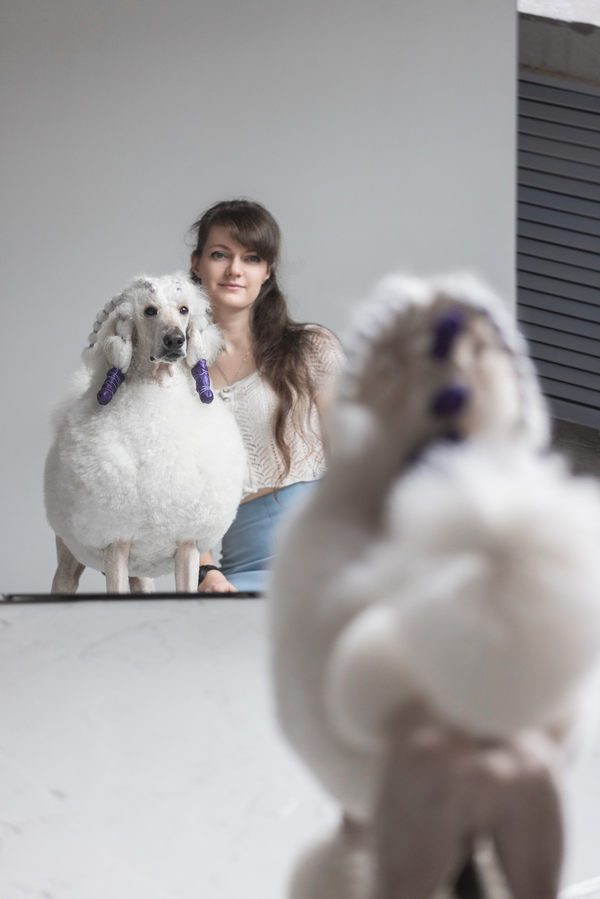 Собаки и не только. Фотограф Алена Звездина