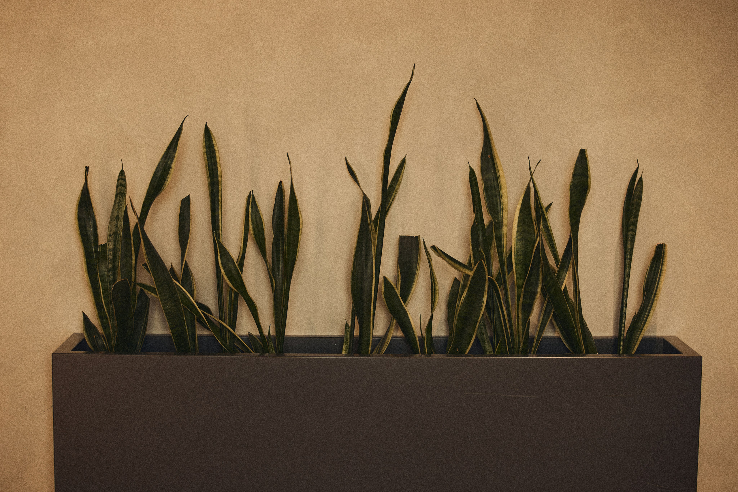 HER WILD, HIS CALM. Дмитрий Мазуркевич: Профессиональный Репортажный Фотограф