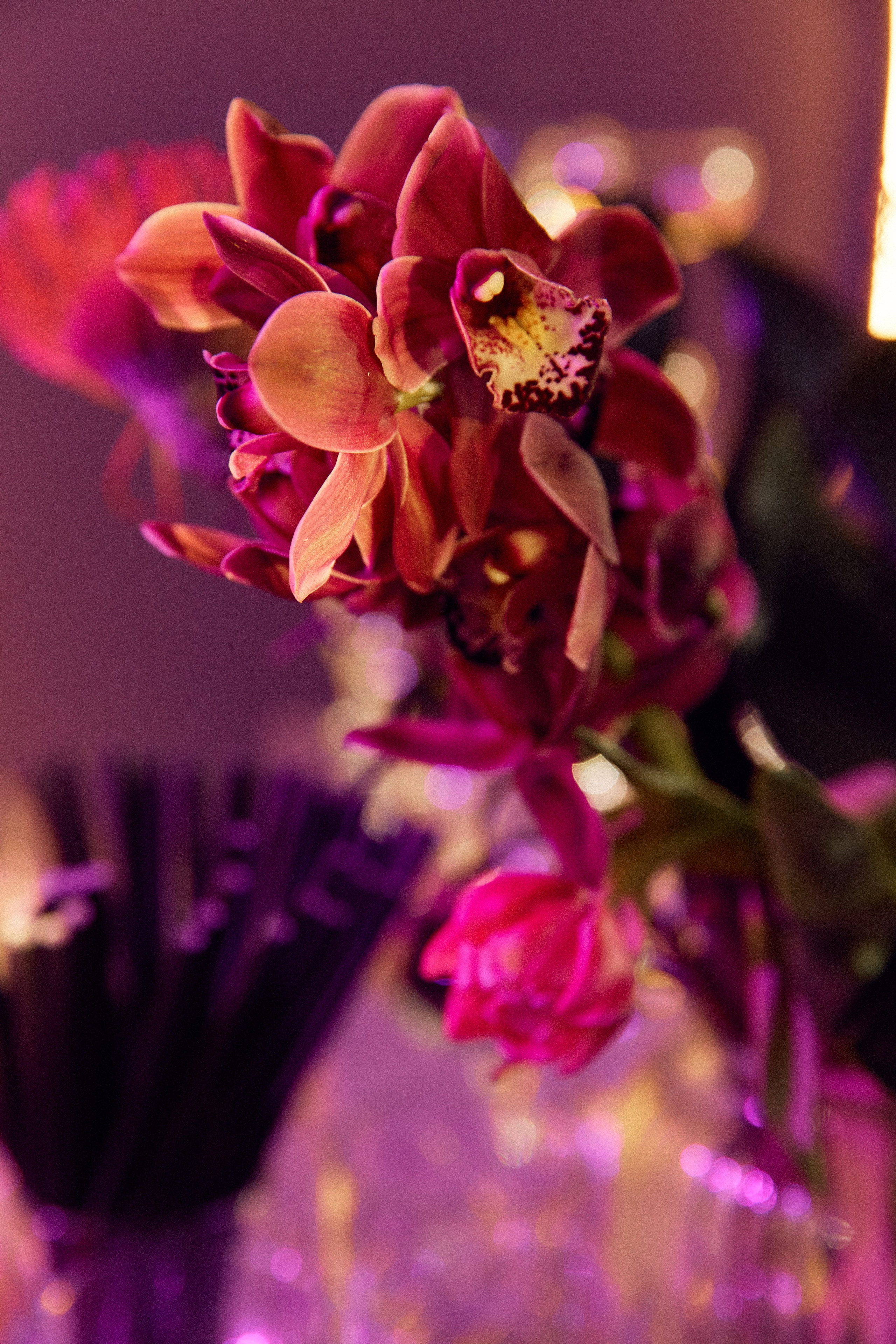 Посмотреть серию. Свадебный и семейный фотограф в Красноярске Тряпчев Павел