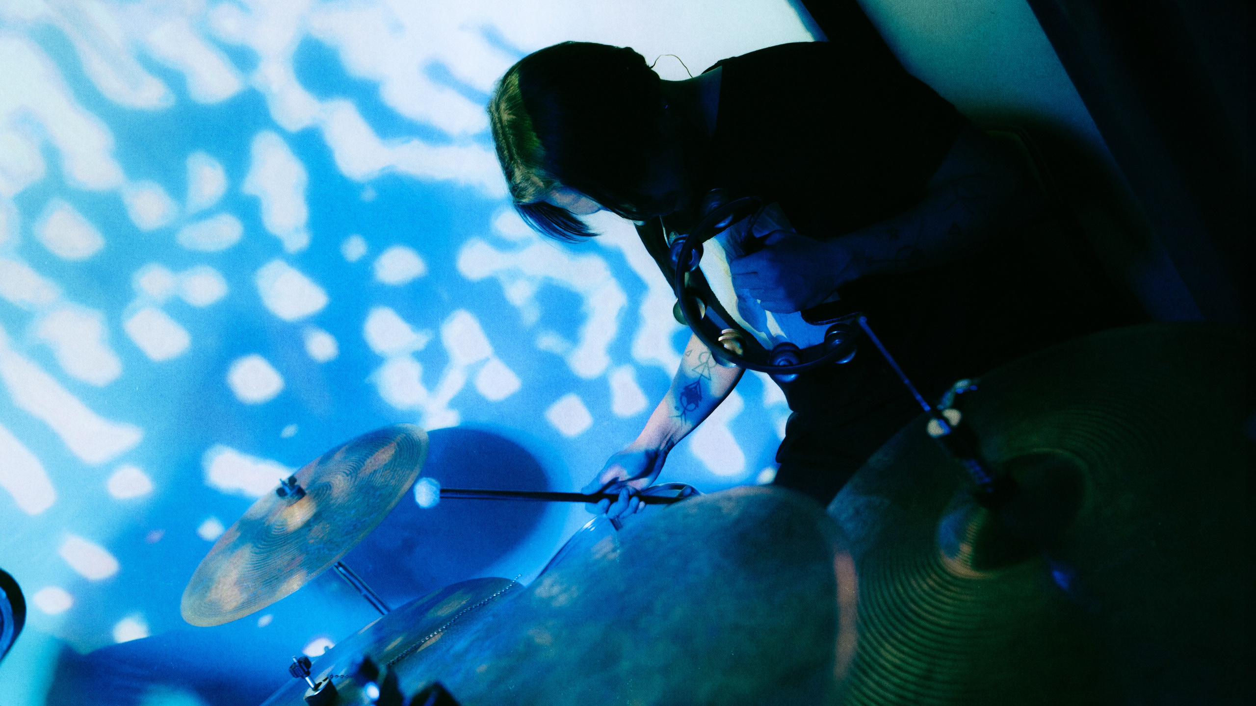 Dog Silent [pwrhs]. Фотограф Москва