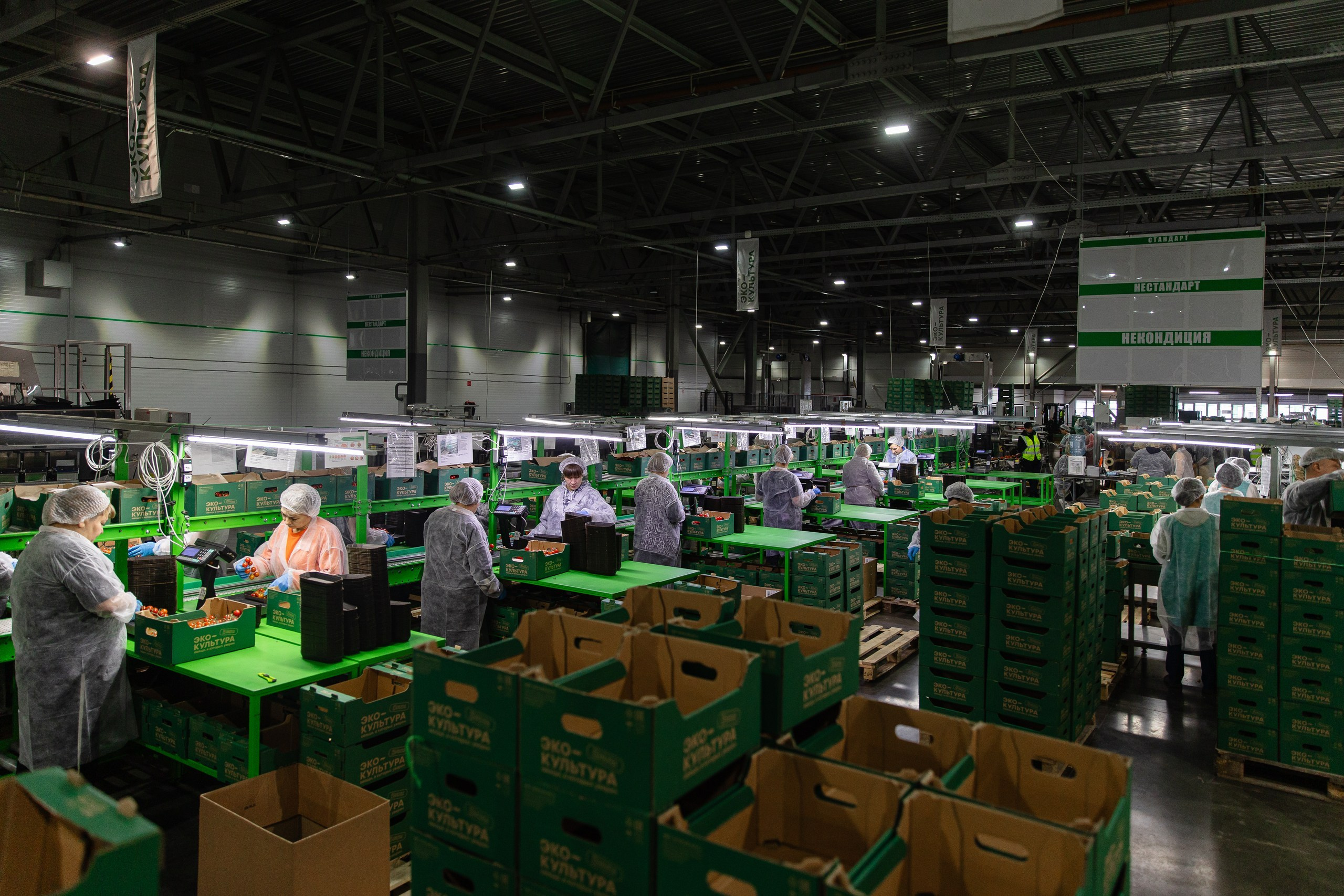 Производство. Фотограф Николай Петрушкин | Ставрополь, Москва