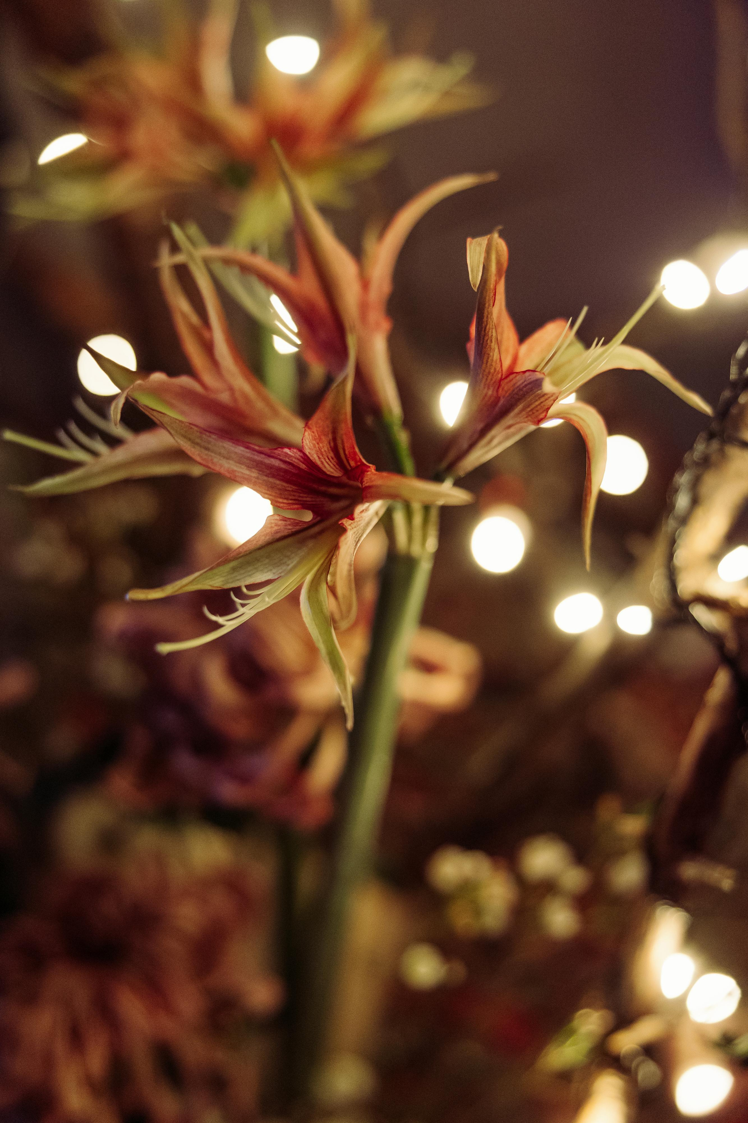 Андрей и Виринея. Свадьба-вечеринка. Свадебный и репортажный фотограф в Москве Владимир Сергеев | Naysaikolo