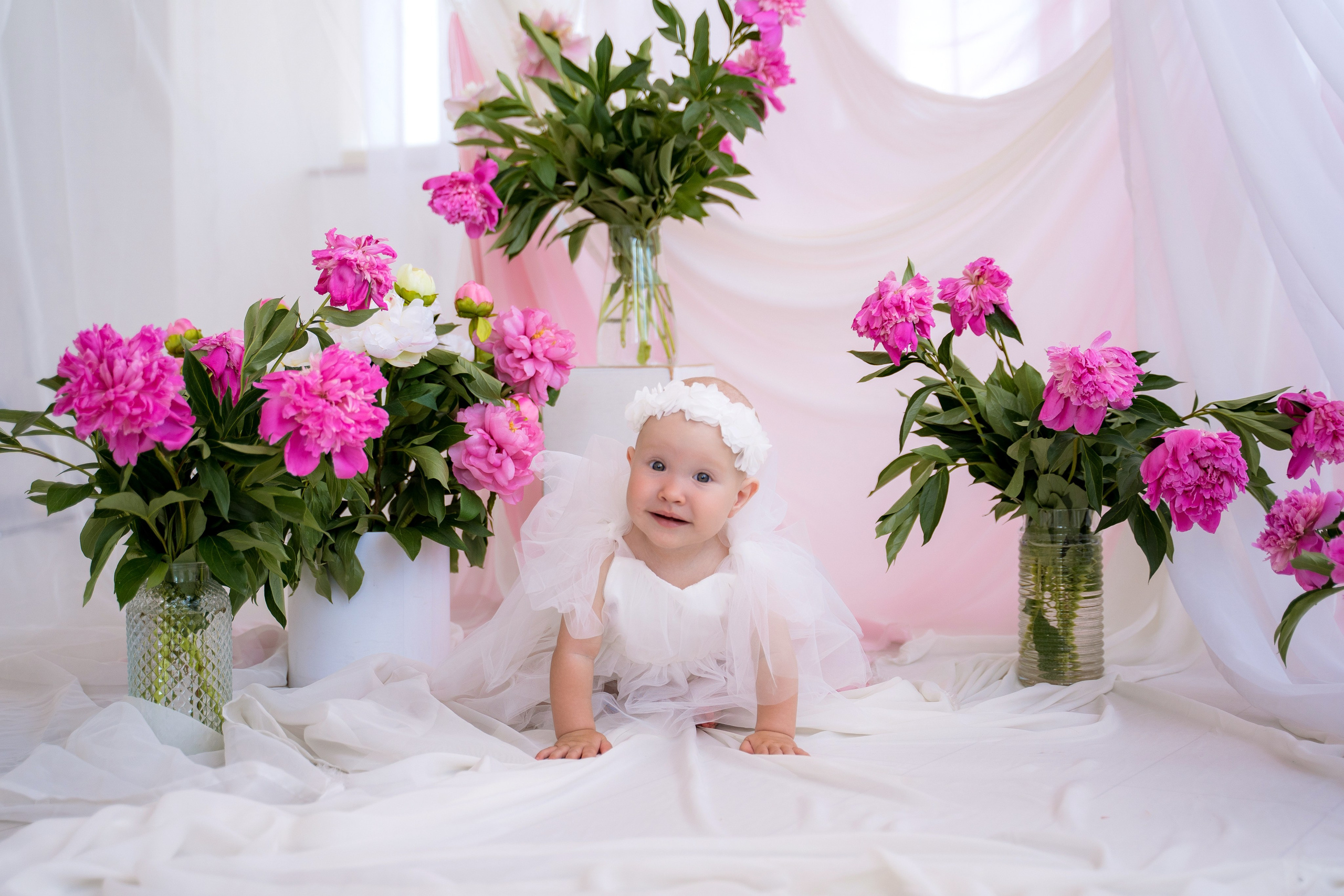 Пионы. Фотостудия Малина в городе Улан-Удэ. Фотограф Ирина Жарникова