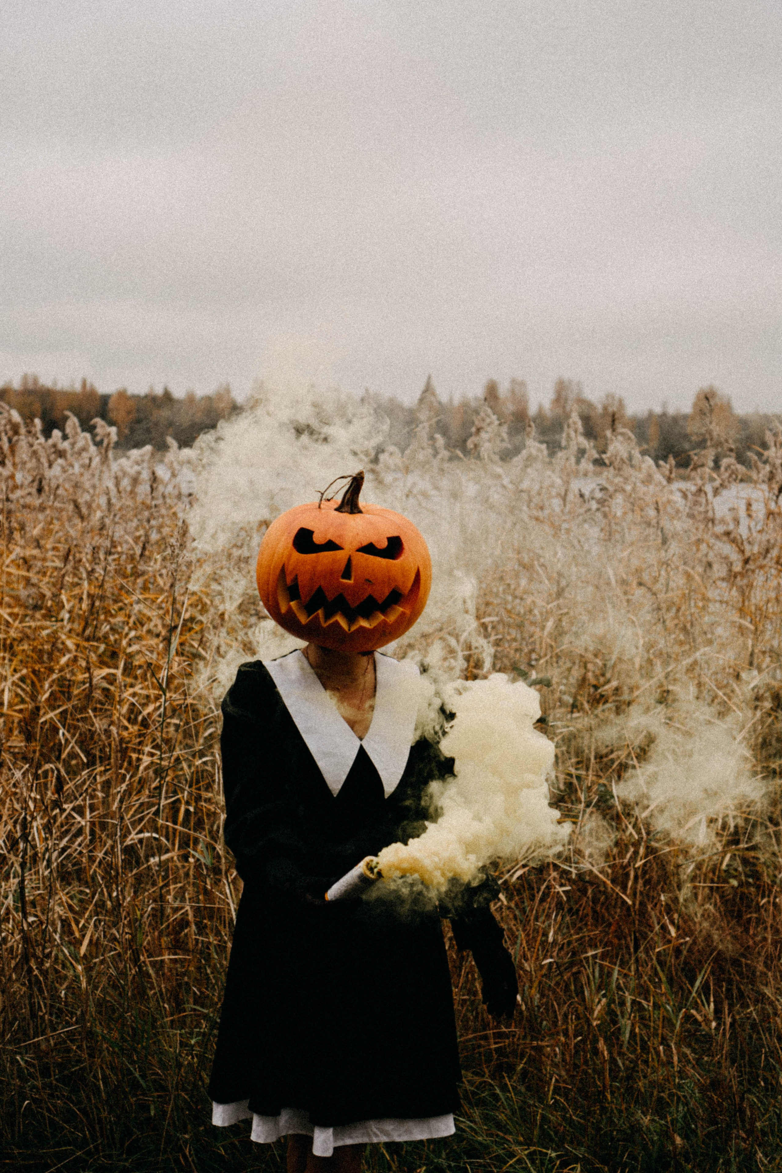 Осеняя. Профессиональный фотограф, Санкт-Петербург — Виктория Богомолова