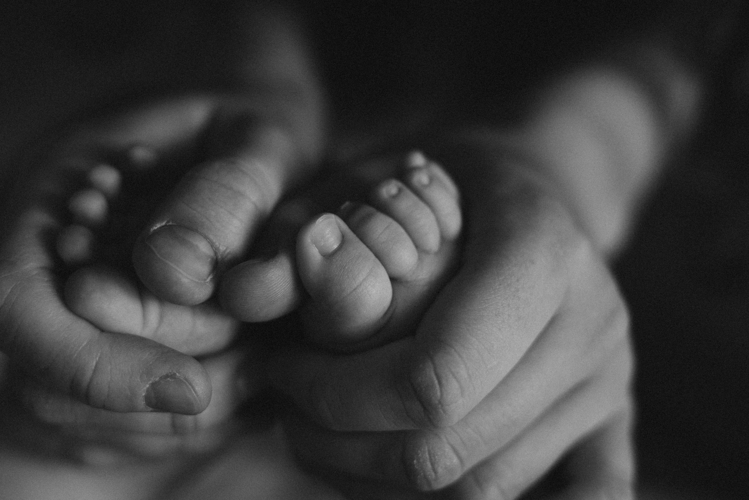 Света Паша. Семейный фотограф в Минске и РБ Стеликова Анна