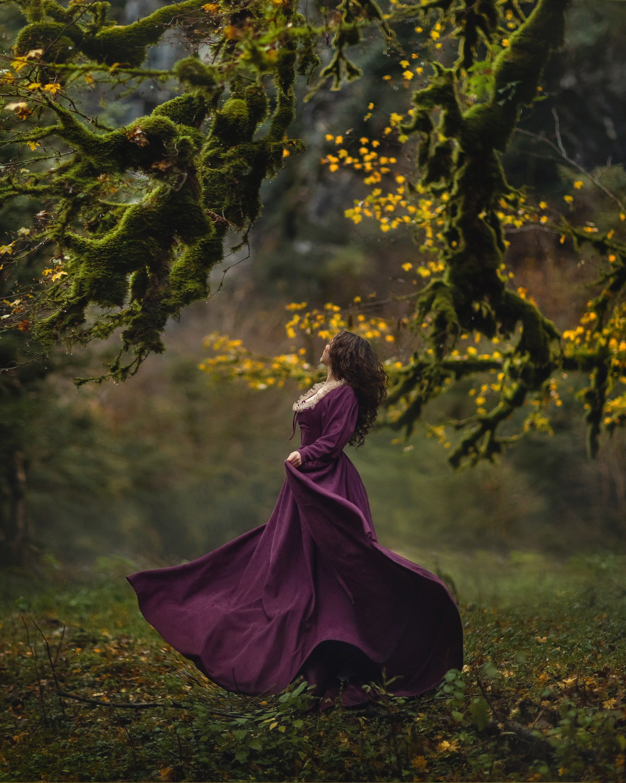 Самшитовый лес. Детский и семейный фотограф Елена Михайлова в Москве