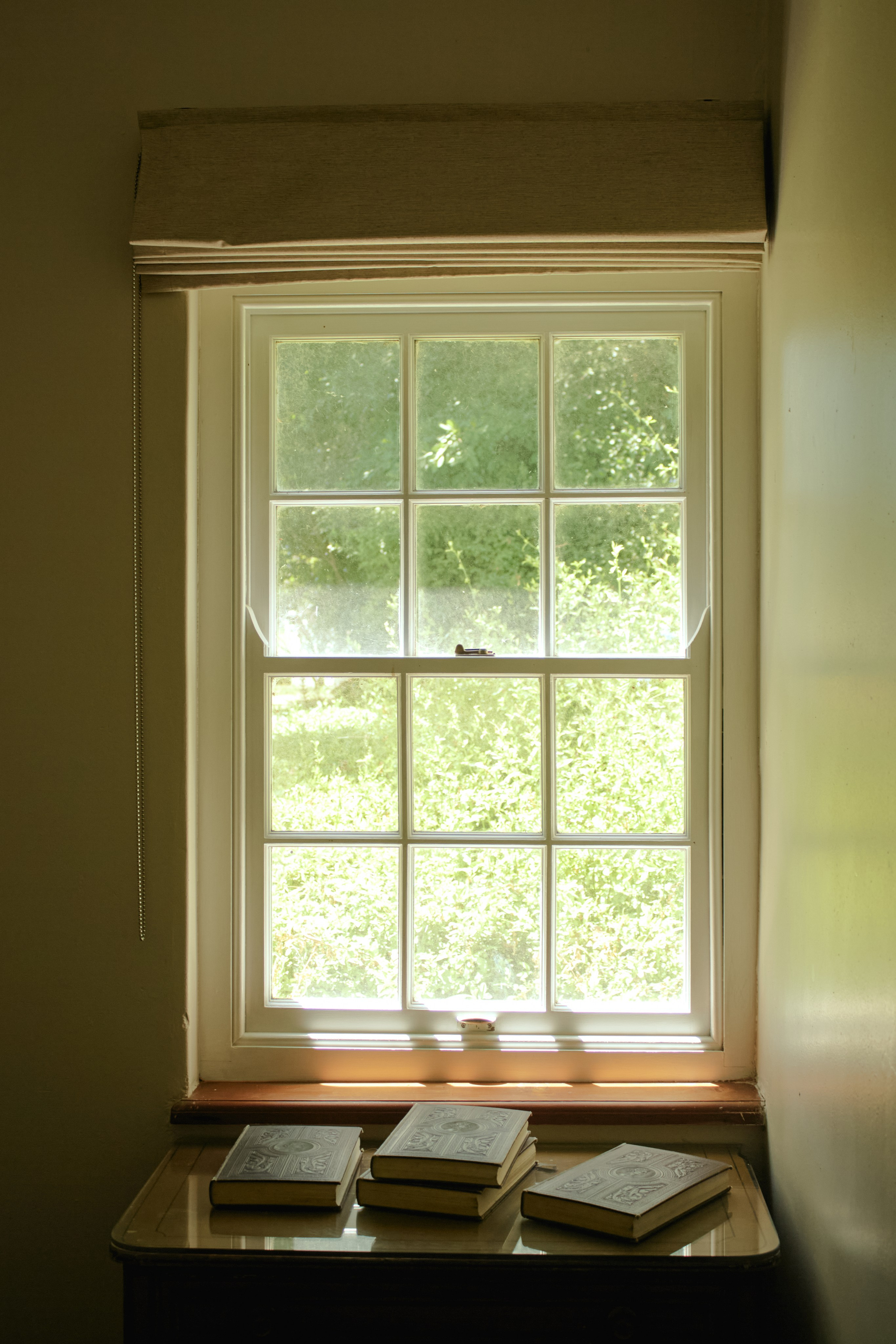 ЮАР. Профессиональный Фотограф во Владимире, в Москве и в Суздале — Полина Романычева