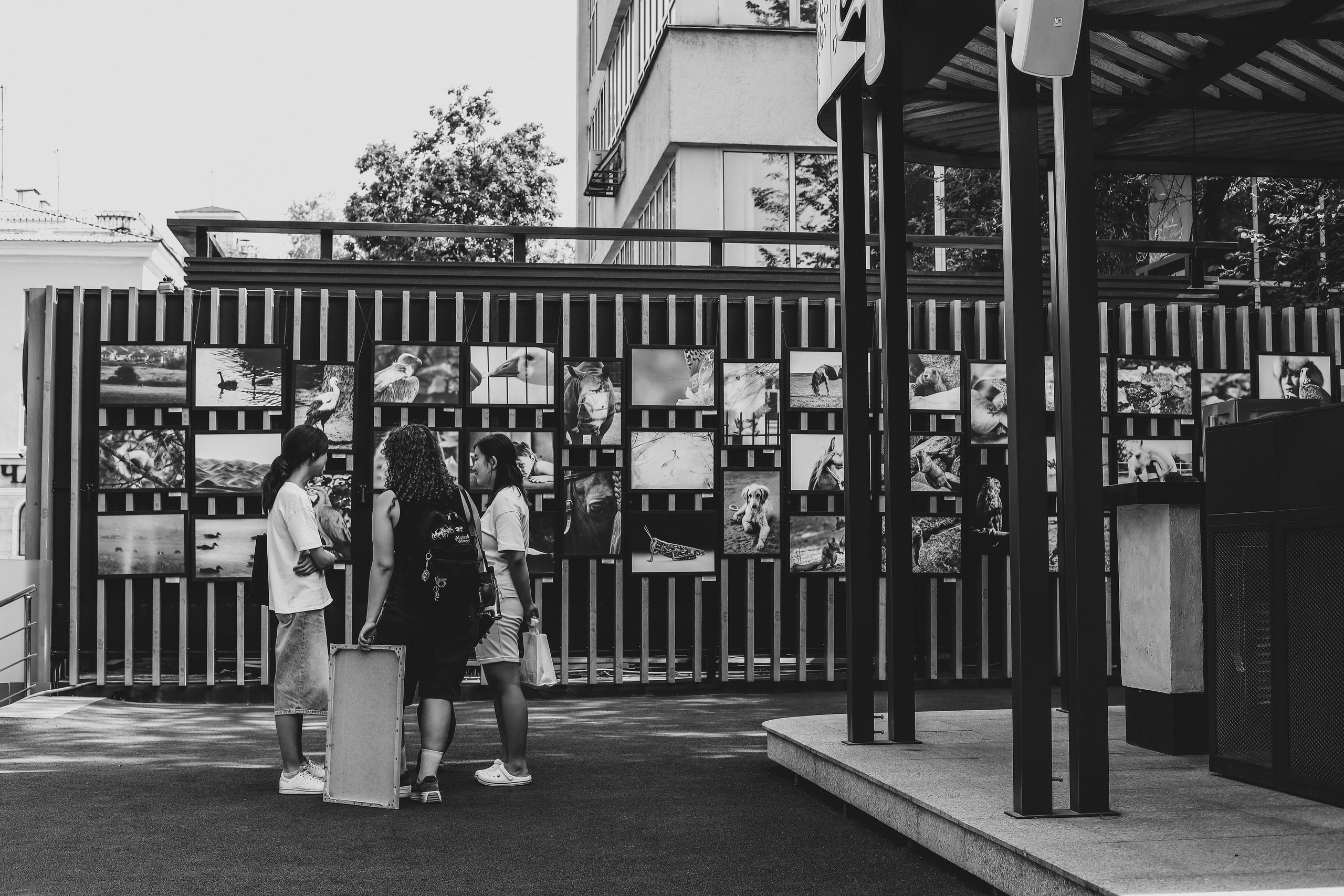 Выставки. Семейный и детский фотограф в Алматы Юровских Инесса