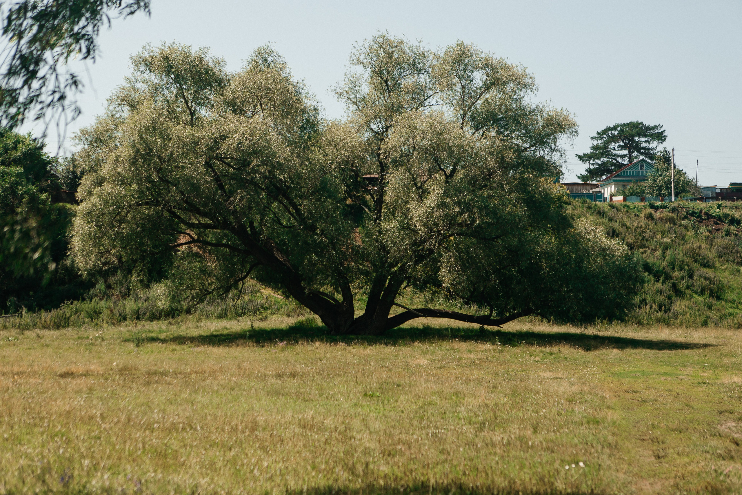 Свадьба в Динопарке. Свадебный фотограф Виктория Чуйко Магнитогорск. Визуал для бизнеса